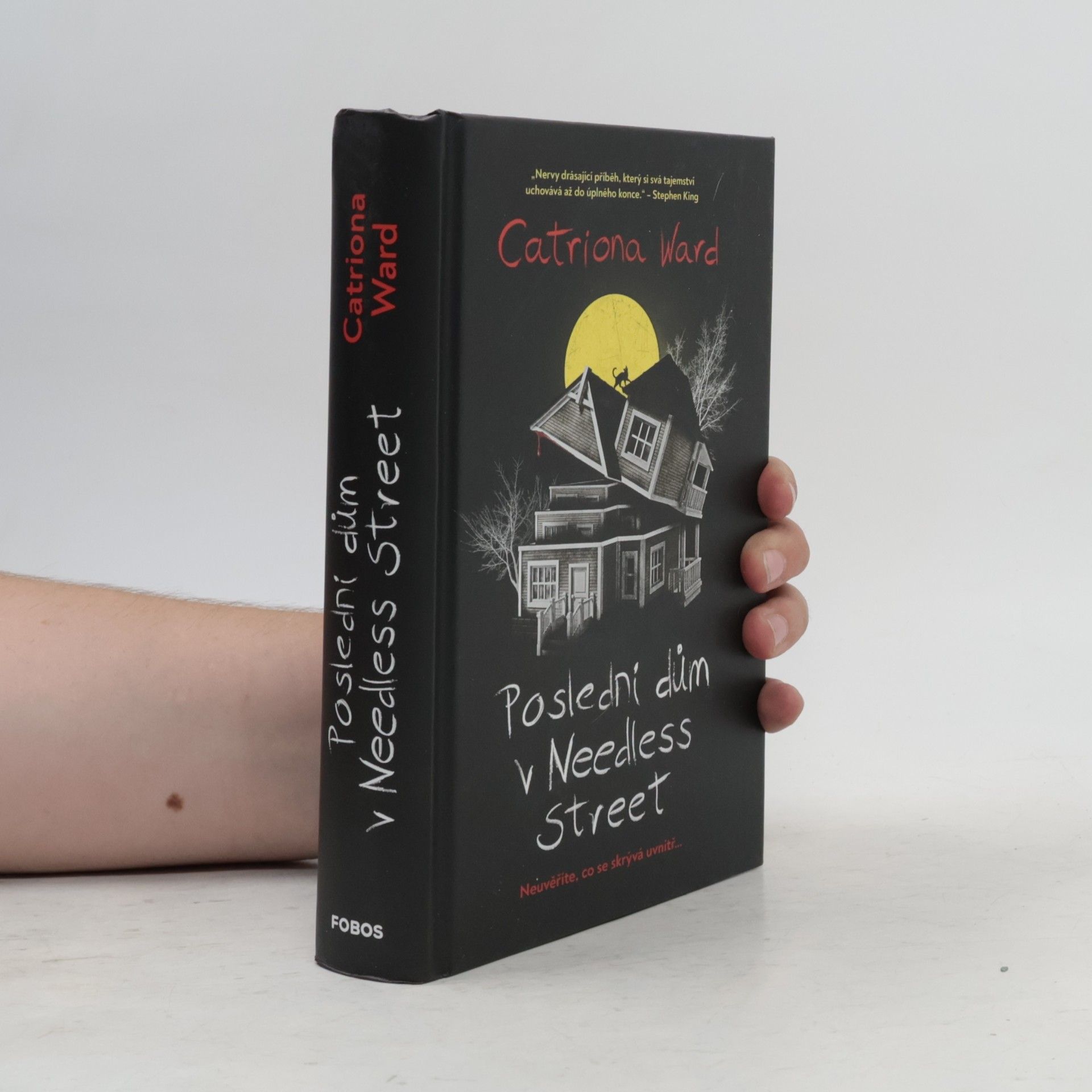 Catriona Ward Poslední dům v Needless Street