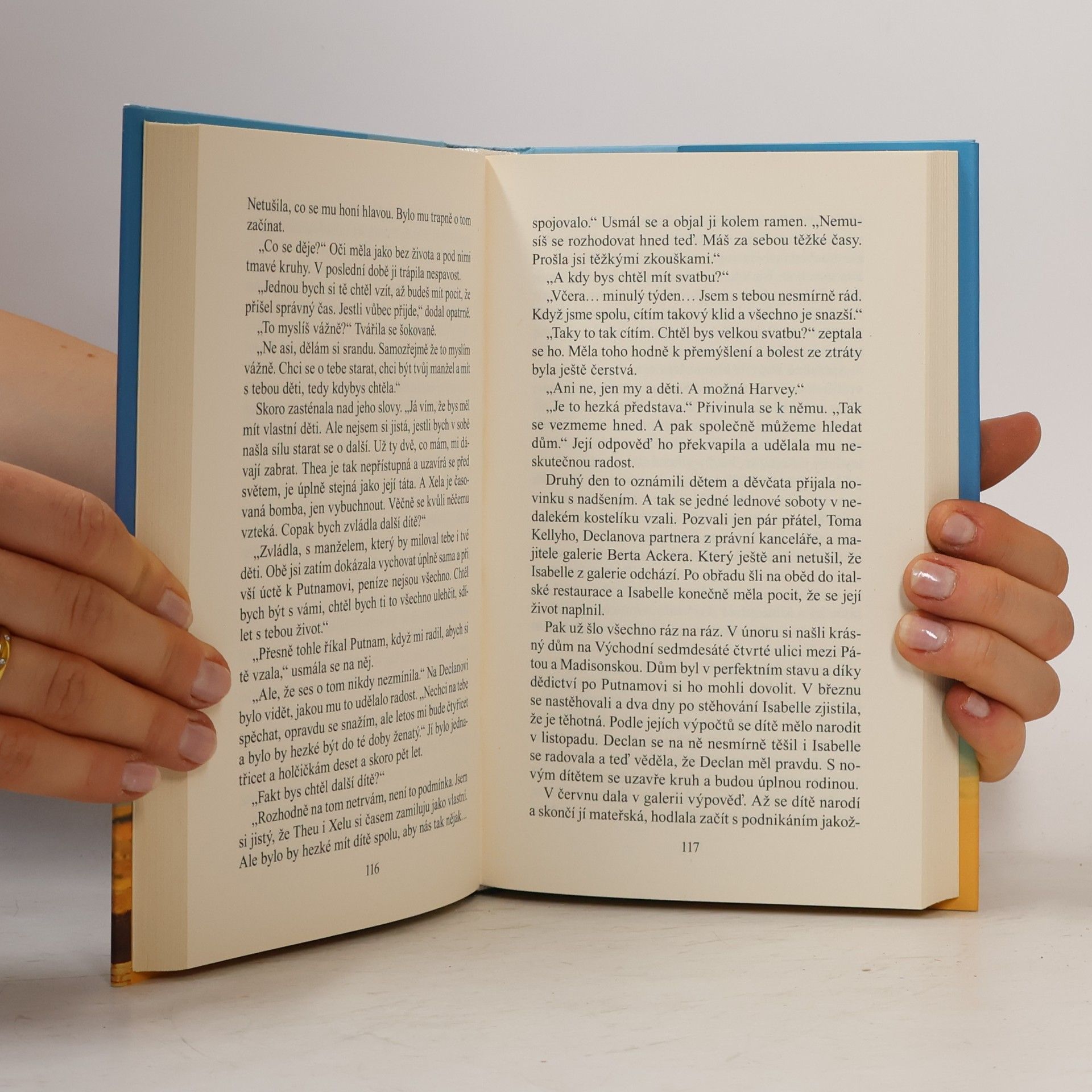 Danielle Steel Štěstí v neštěstí