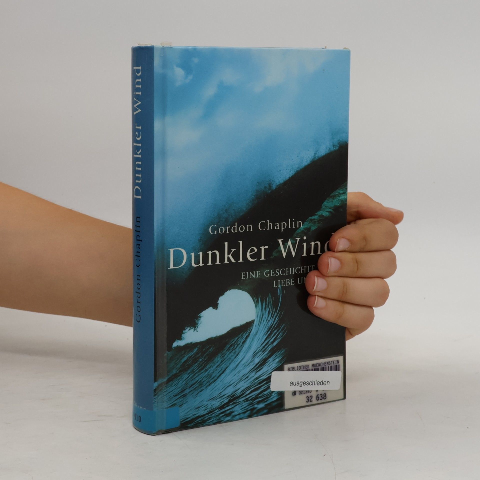 Gordon Chaplin Dunkler Wind
