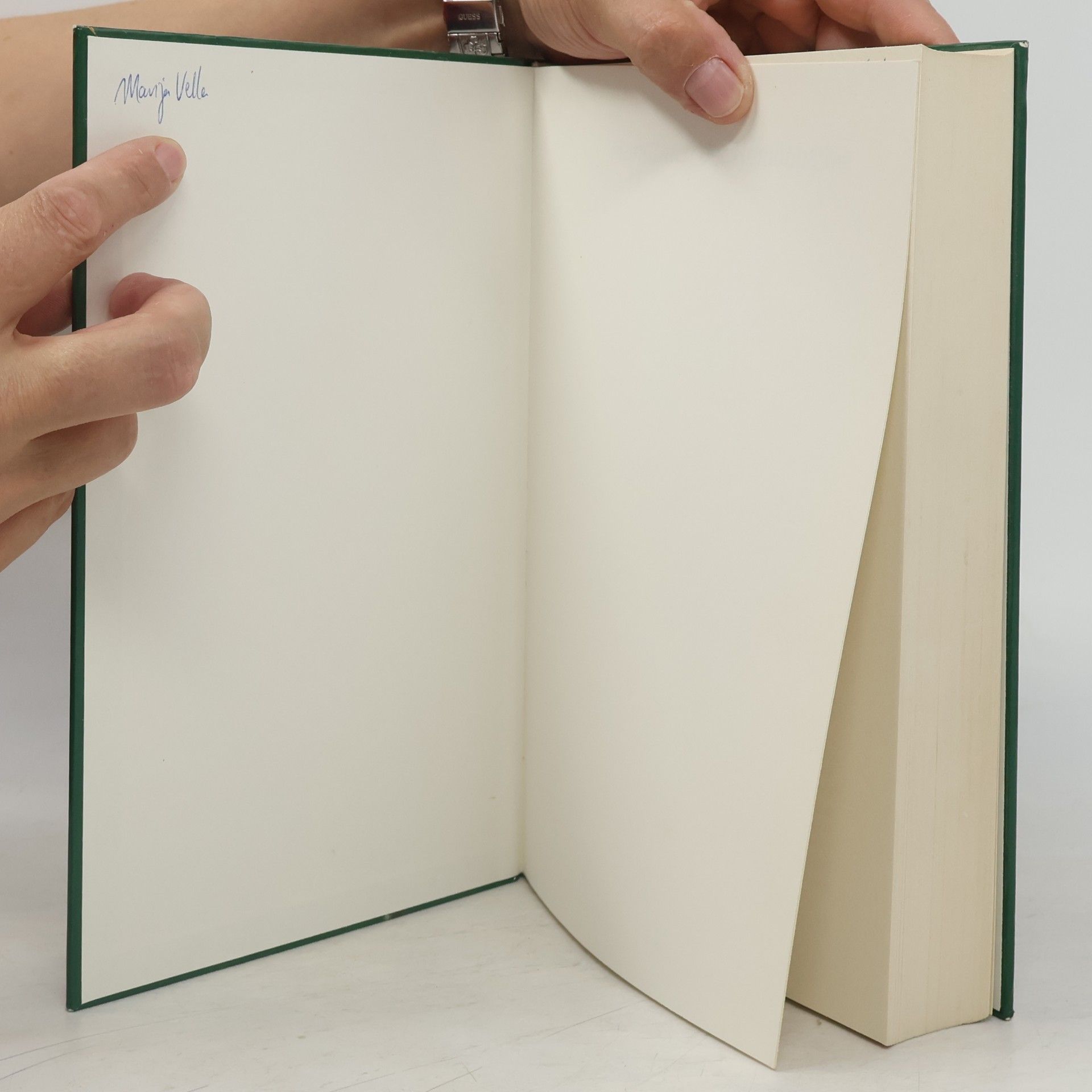 Mathias Dorcsi Handbuch der Homöopathie