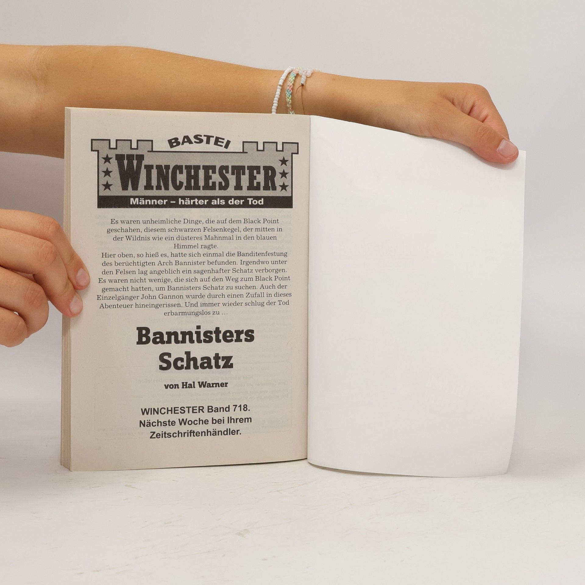 Autorenkollektiv Winchester. Band 1234