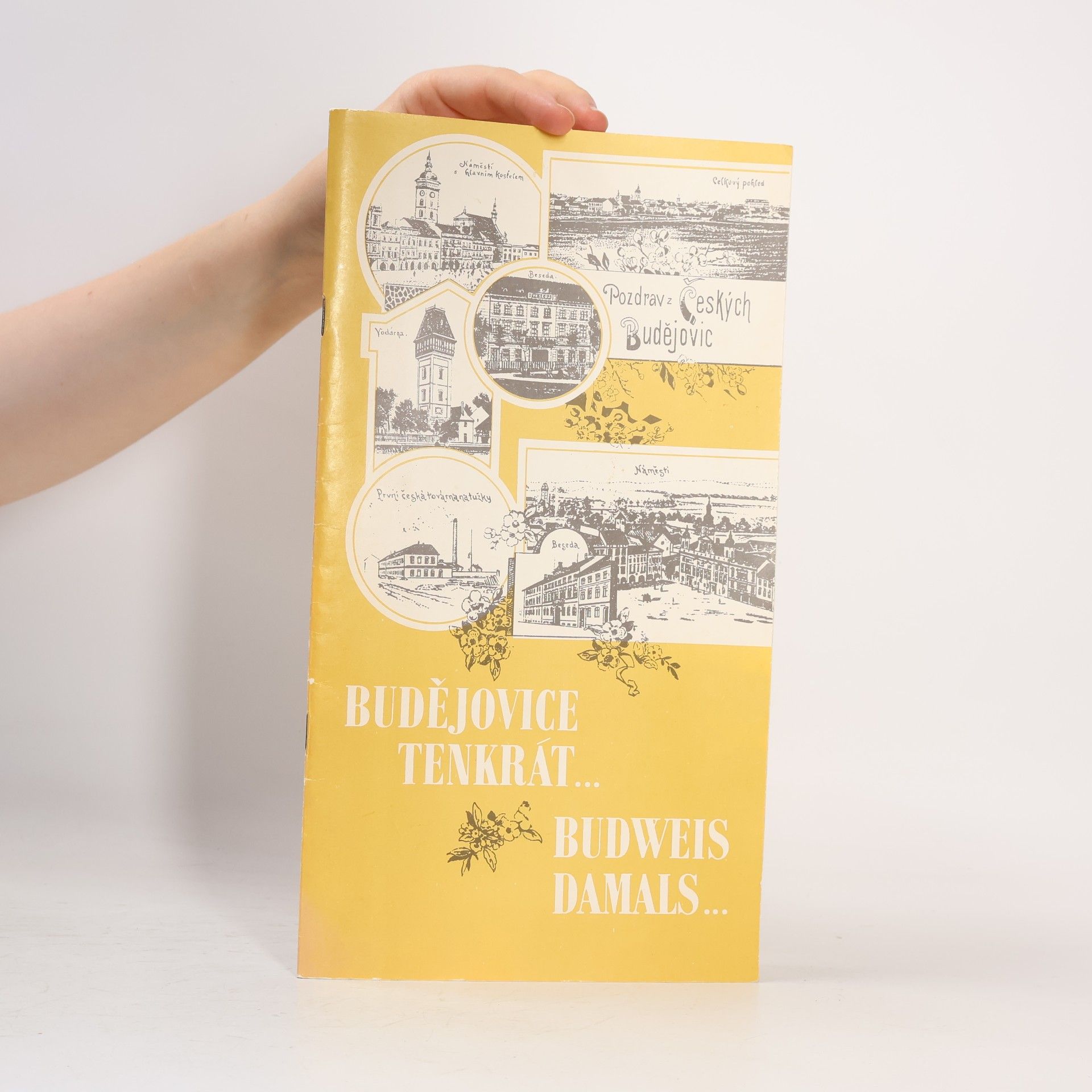 Autorenkollektiv Budějovice tenkrát...Budweis damals