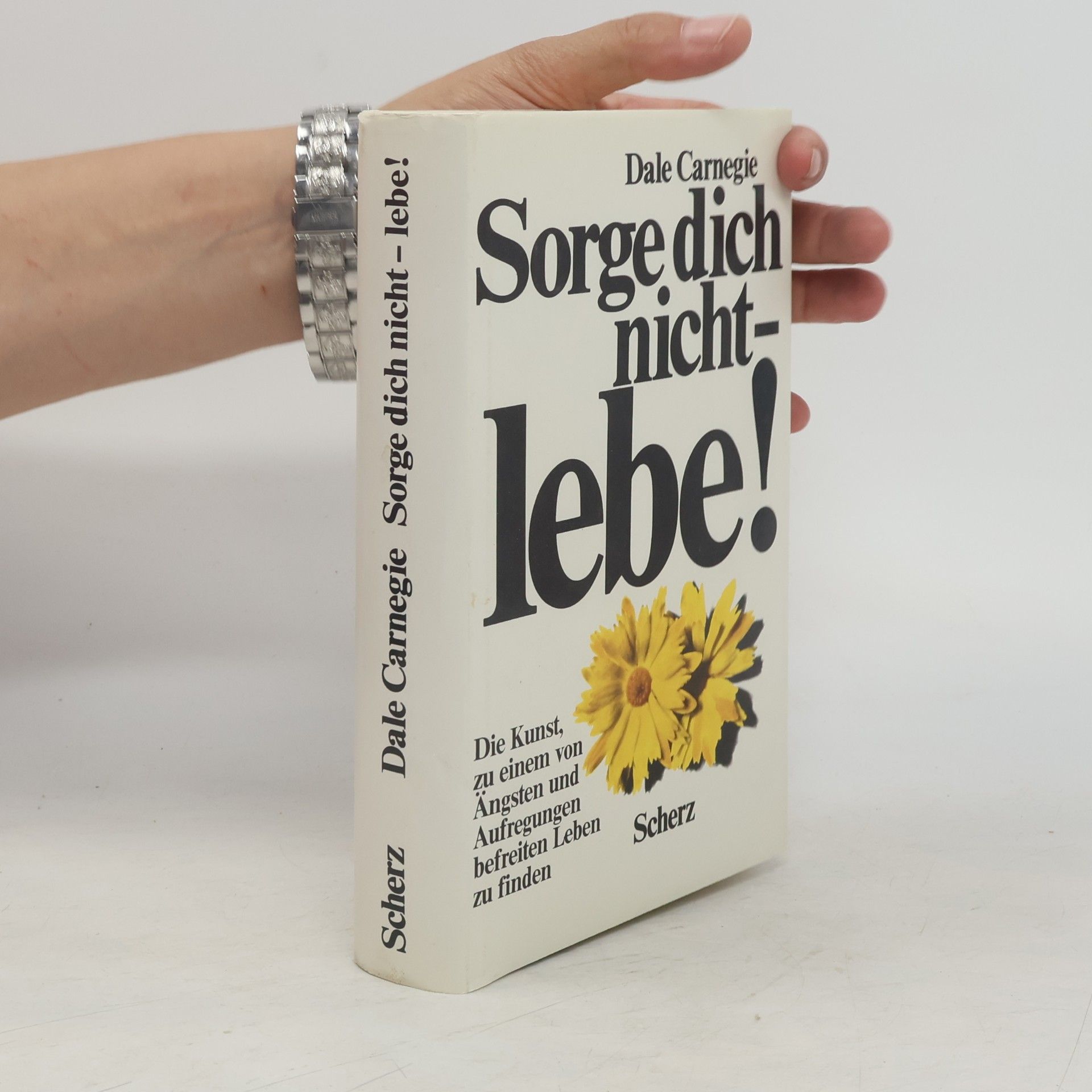 Dale Carnegie Sorge dich nicht - lebe!