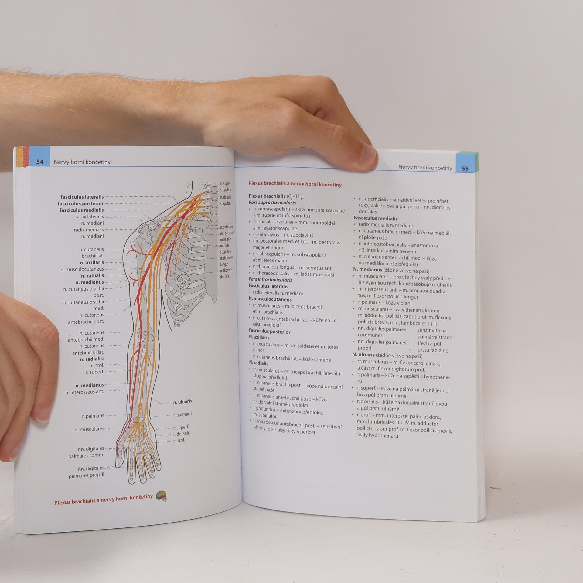 Ondřej Naňka Anatomie v přehledech a schématech