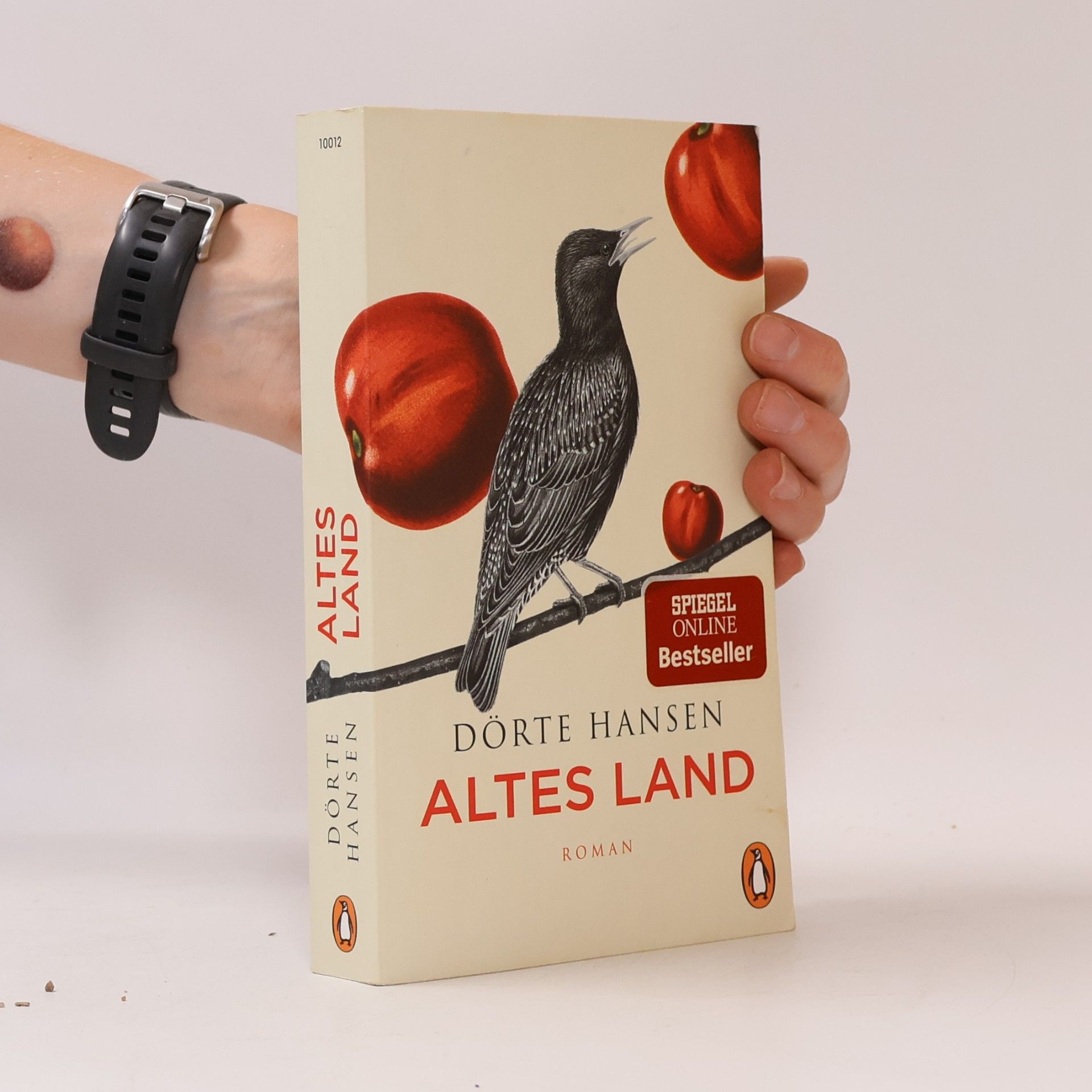 Dörte Hansen Altes Land