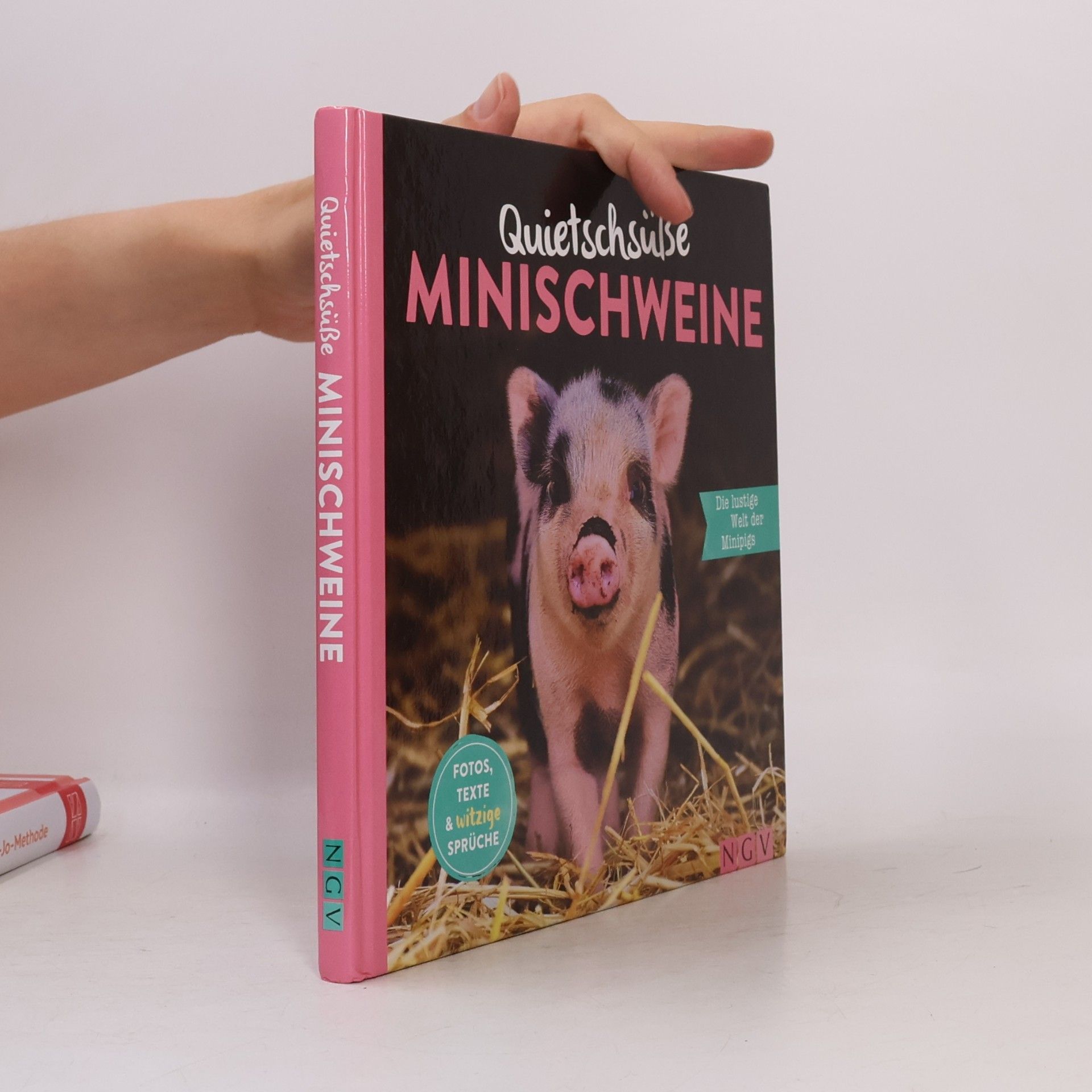 Katharina Bensch Quietschsüße Minischweine