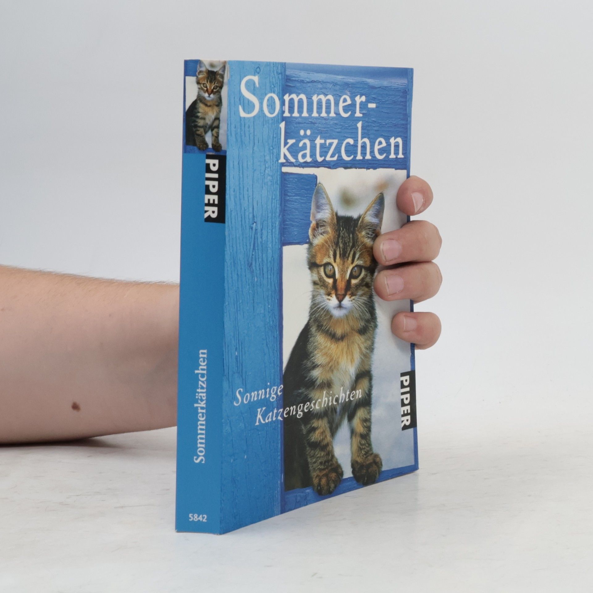 Jone Heer Sommerkätzchen
