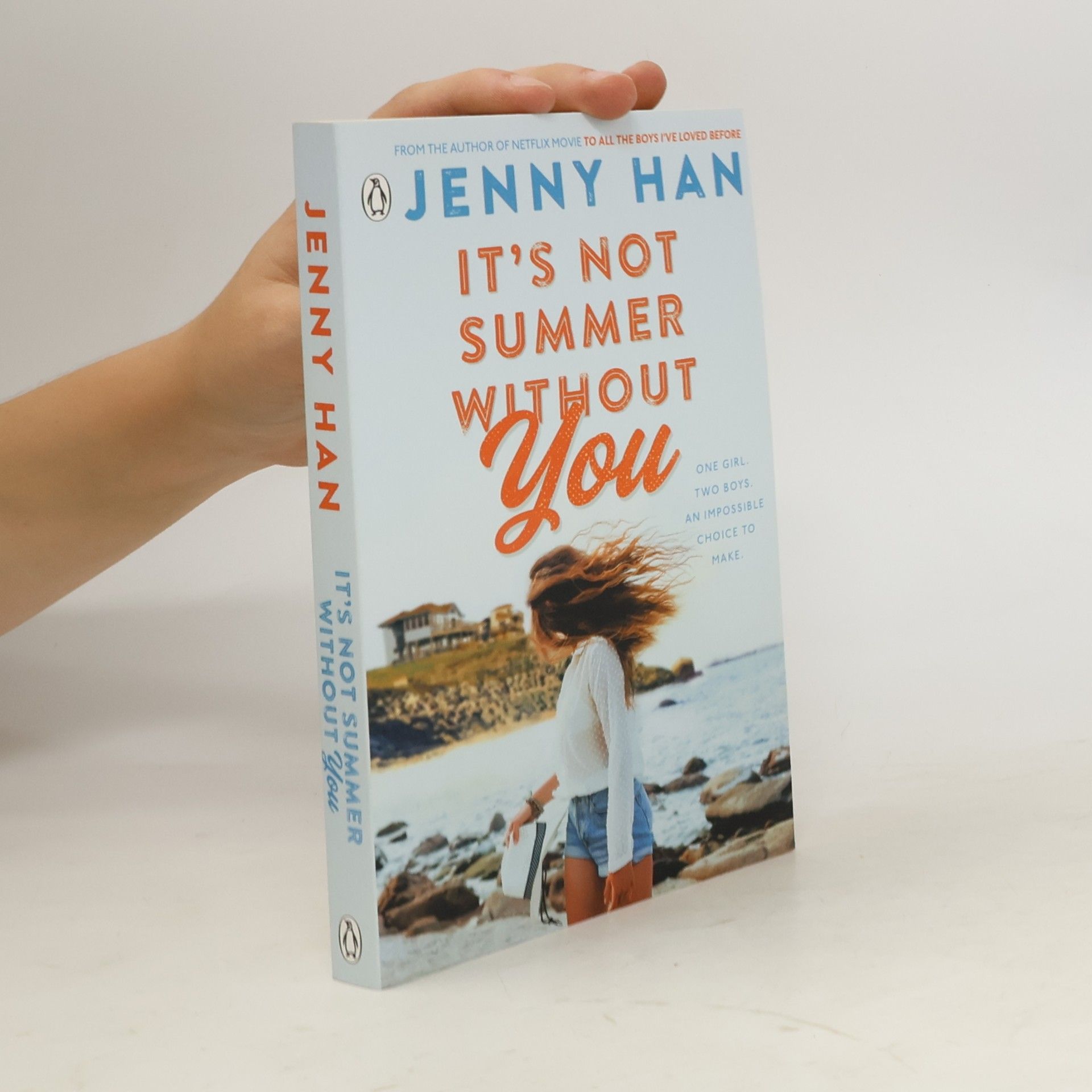 Jenny Han It's Not Summer Without You
