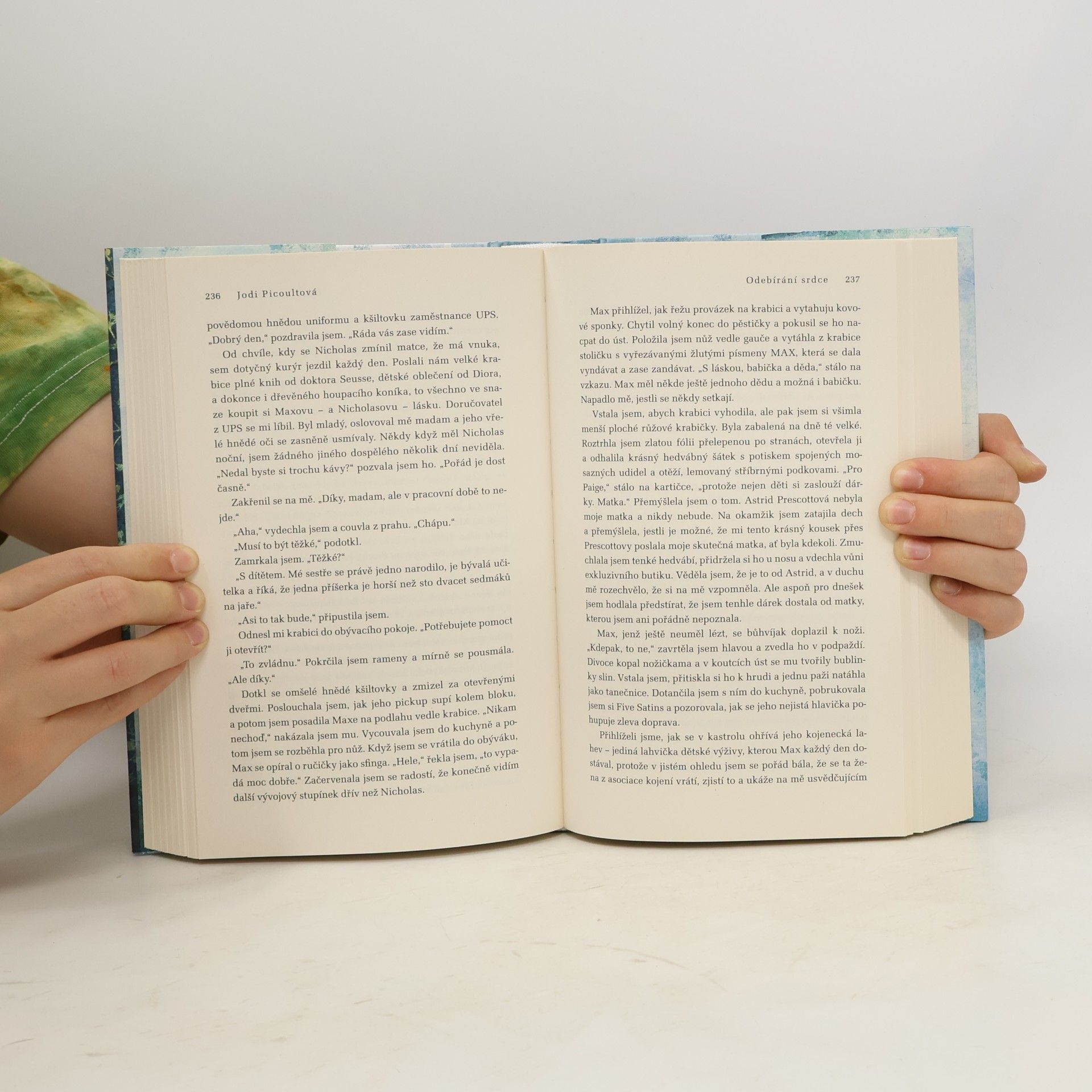 Jodi Picoult Odebírání srdce
