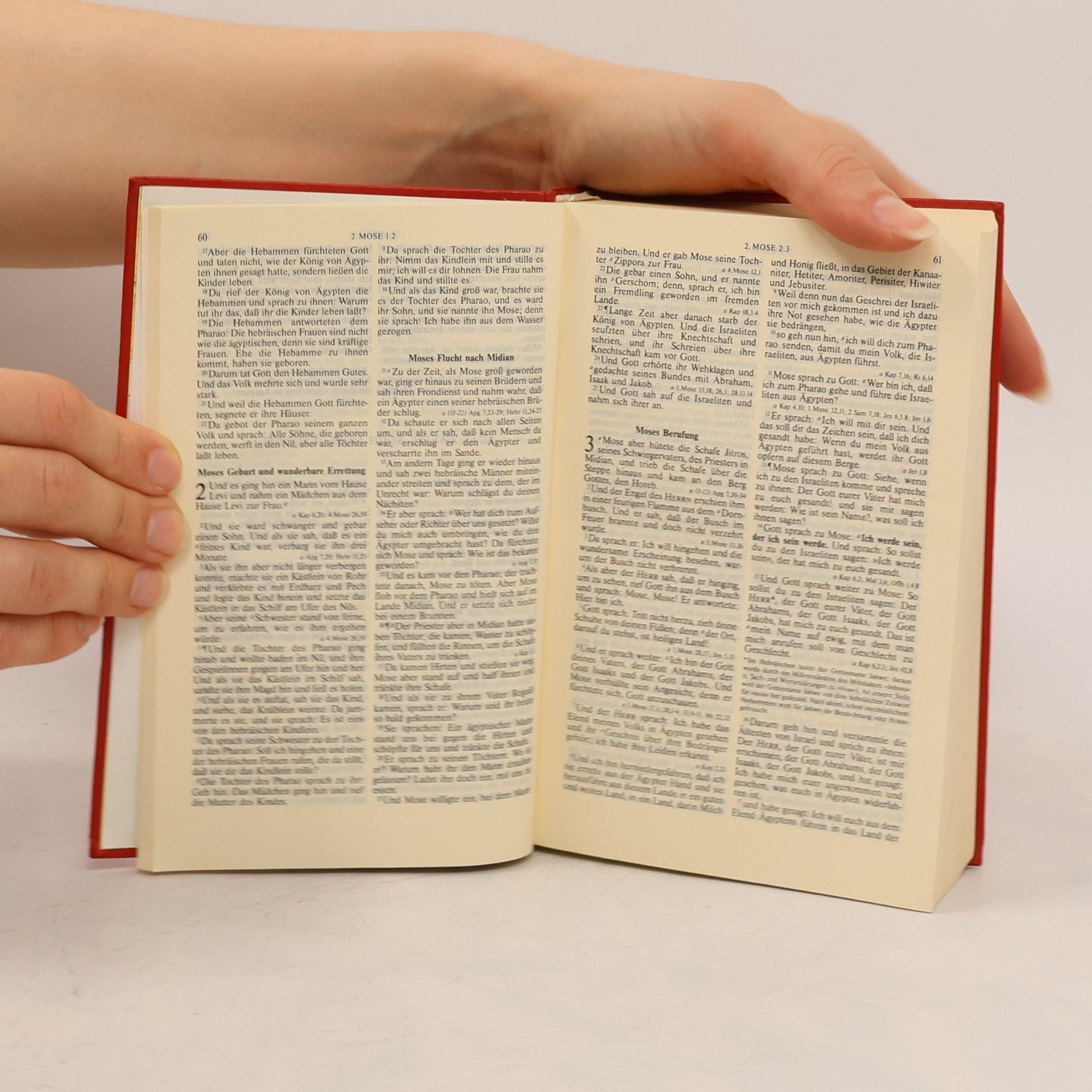 Kolektiv autorů Lutherbibel Taschenausgabe ohne Apokryphen mit Konkordanz