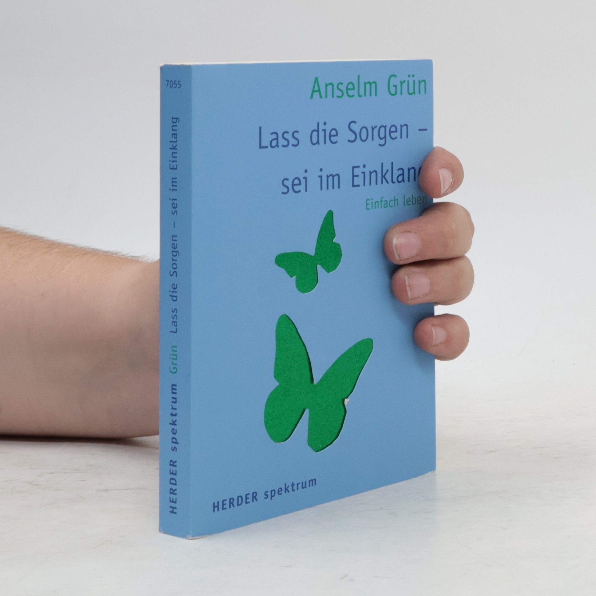 Anselm Grün Lass die Sorgen - sei im Einklang