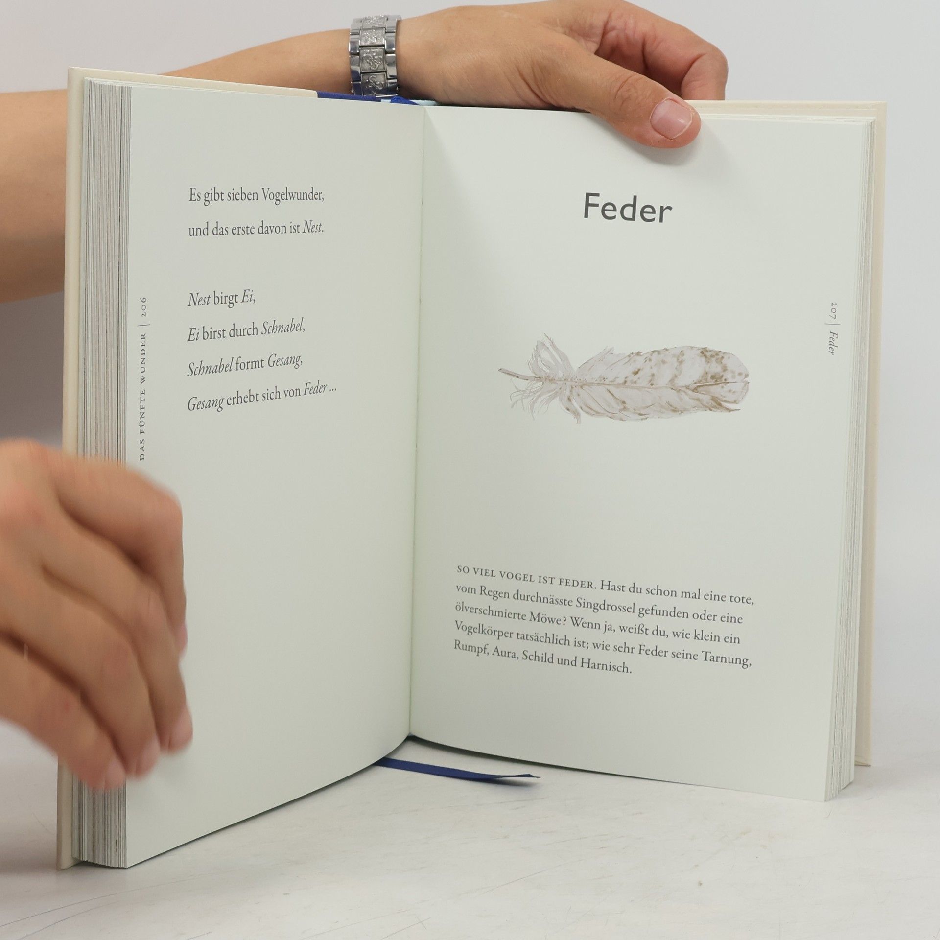 Robert Macfarlane Das Buch der Vögel