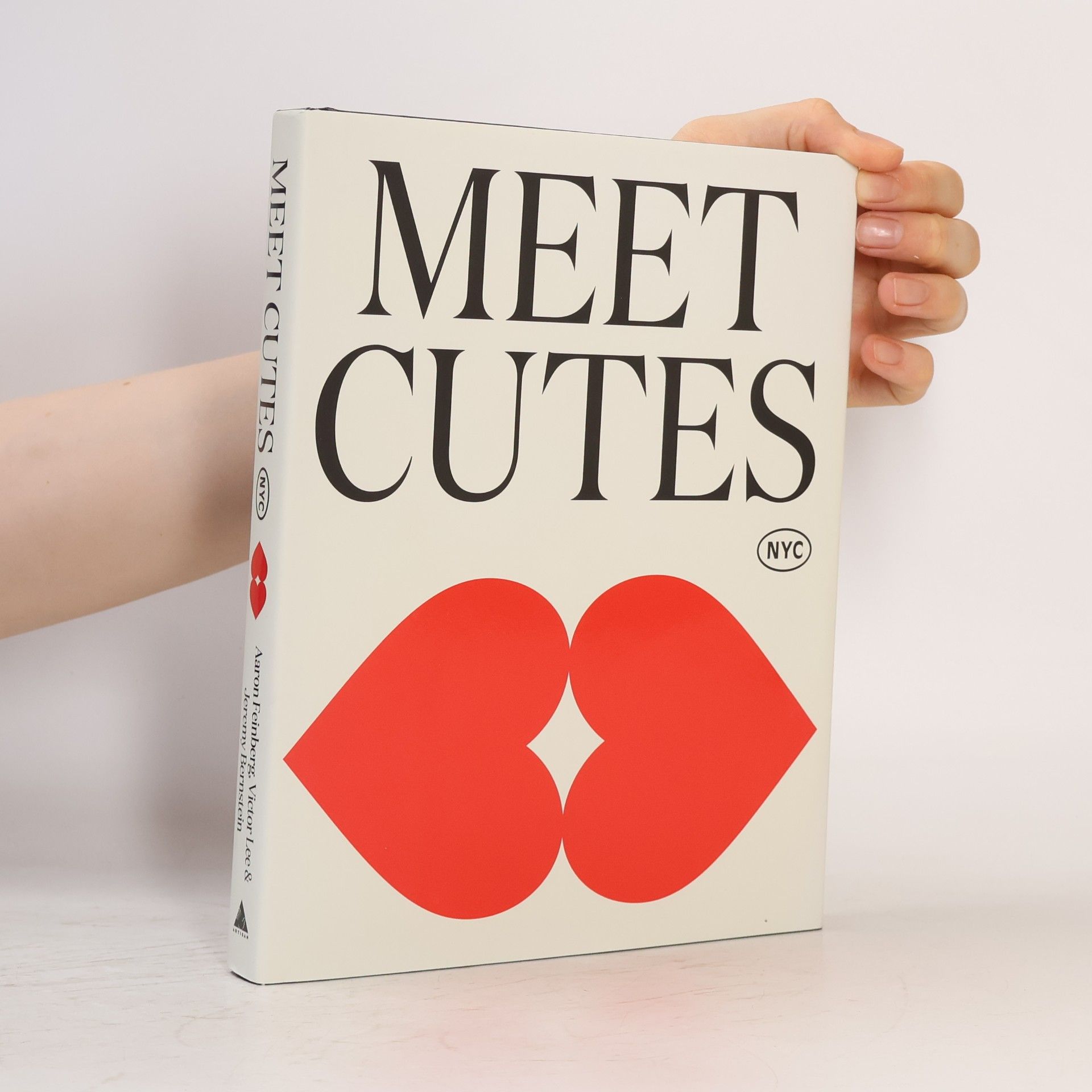 Feinberg, Aaron Meet Cutes NYC: True Stories of Love and Connection