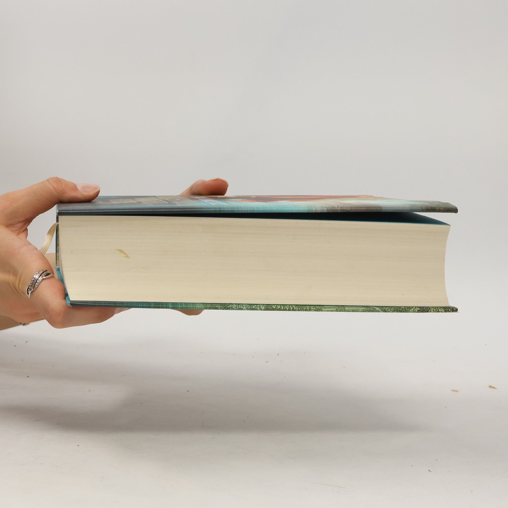 Iny Lorentz Die List der Wanderhure