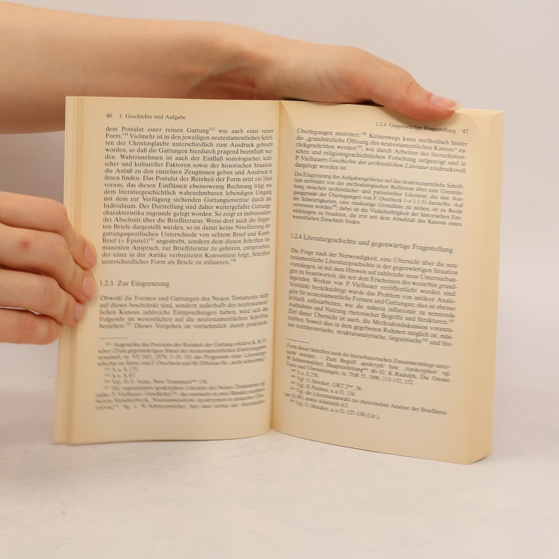 Georg Strecker Literaturgeschichte des Neuen Testaments