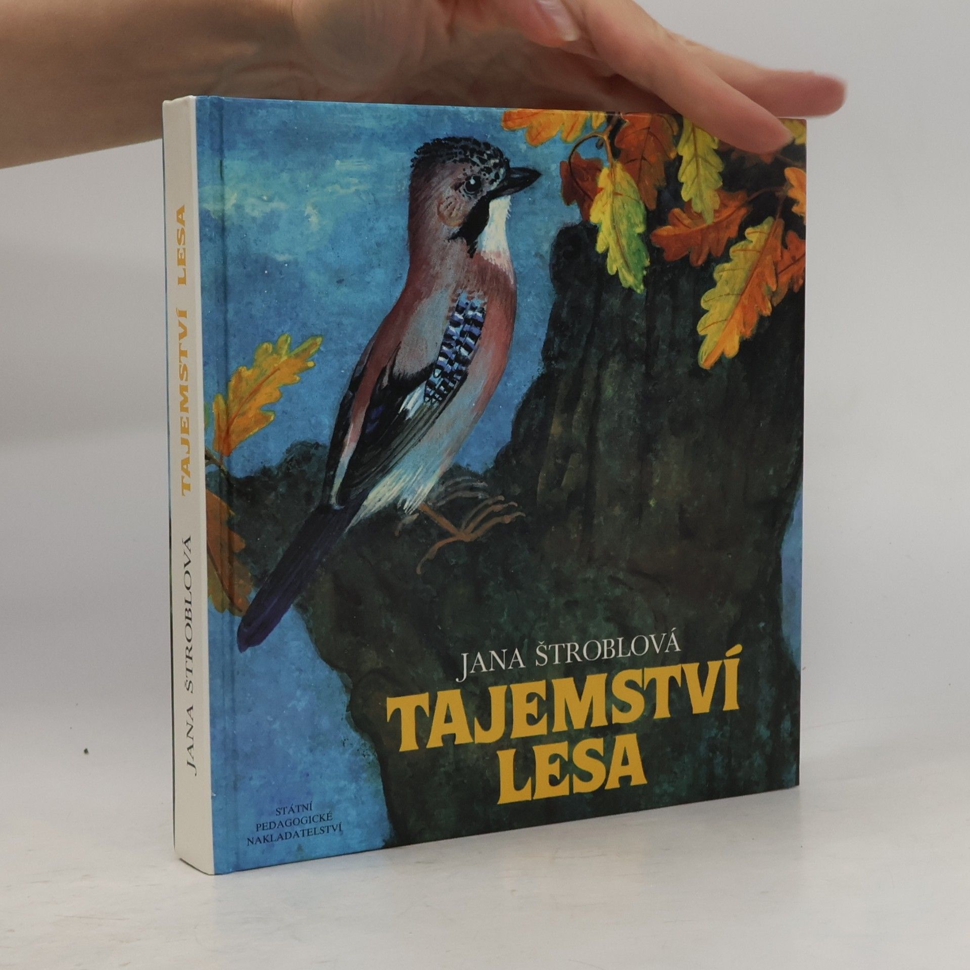 Jana Štroblová Tajemství lesa