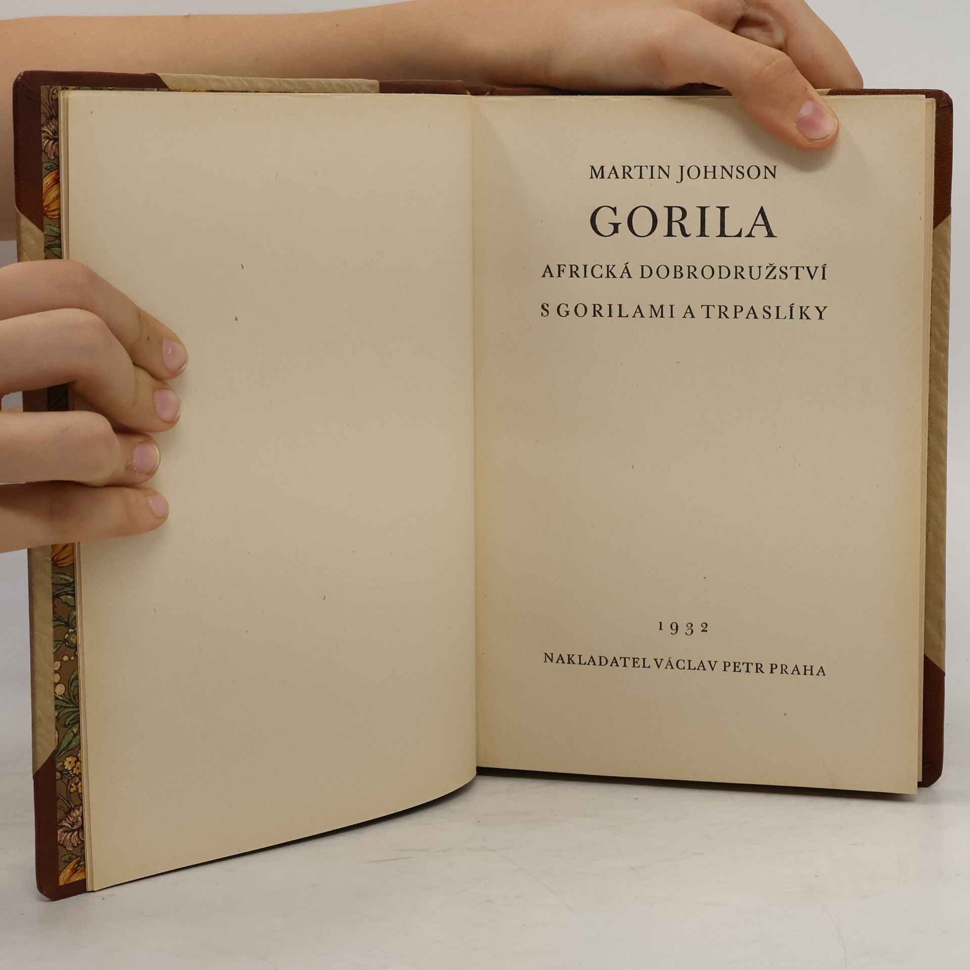 Martin Johnson Gorila
