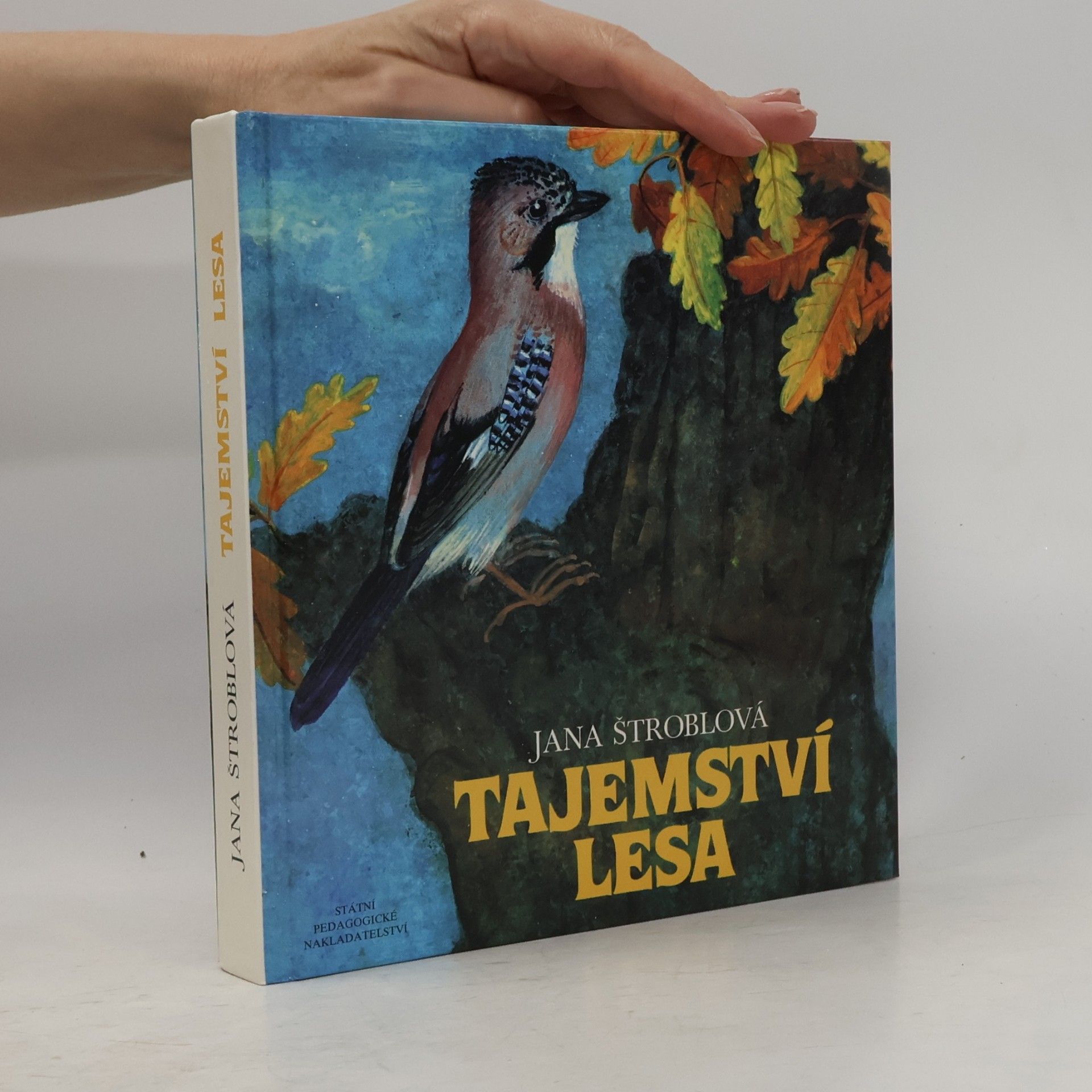 Jana Štroblová Tajemství lesa