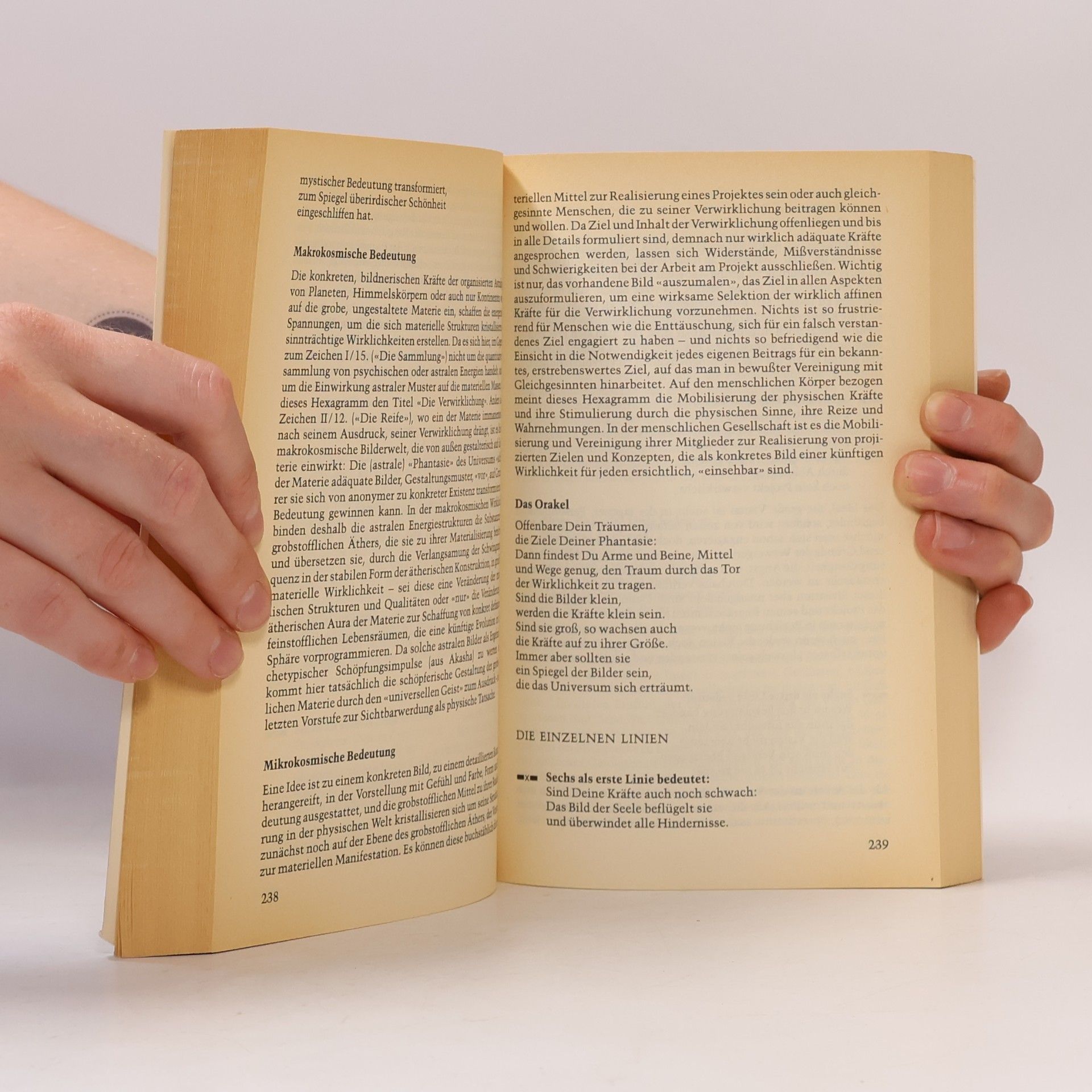N. A. Eichler Das Buch der Wirklichkeit