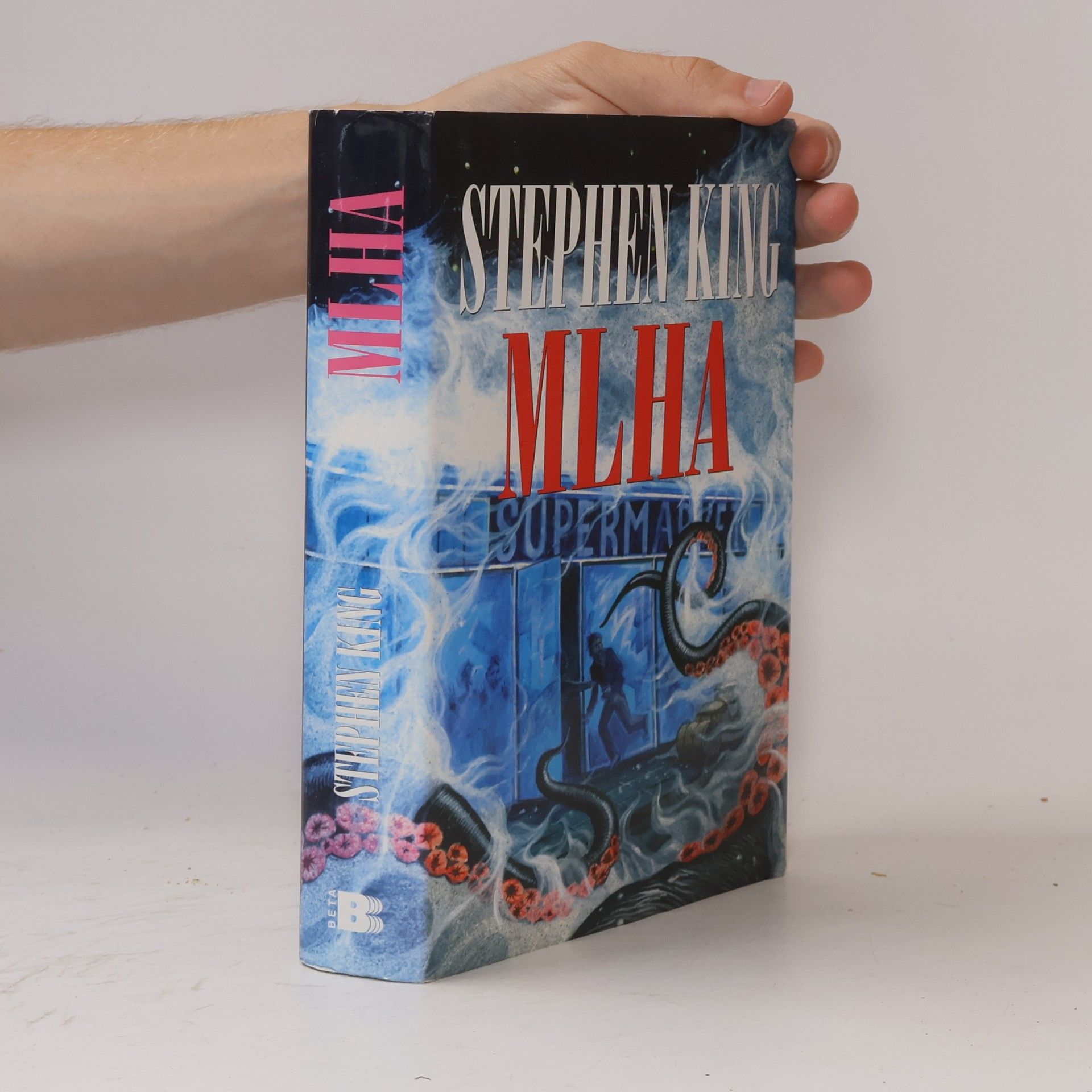 Stephen King Mlha