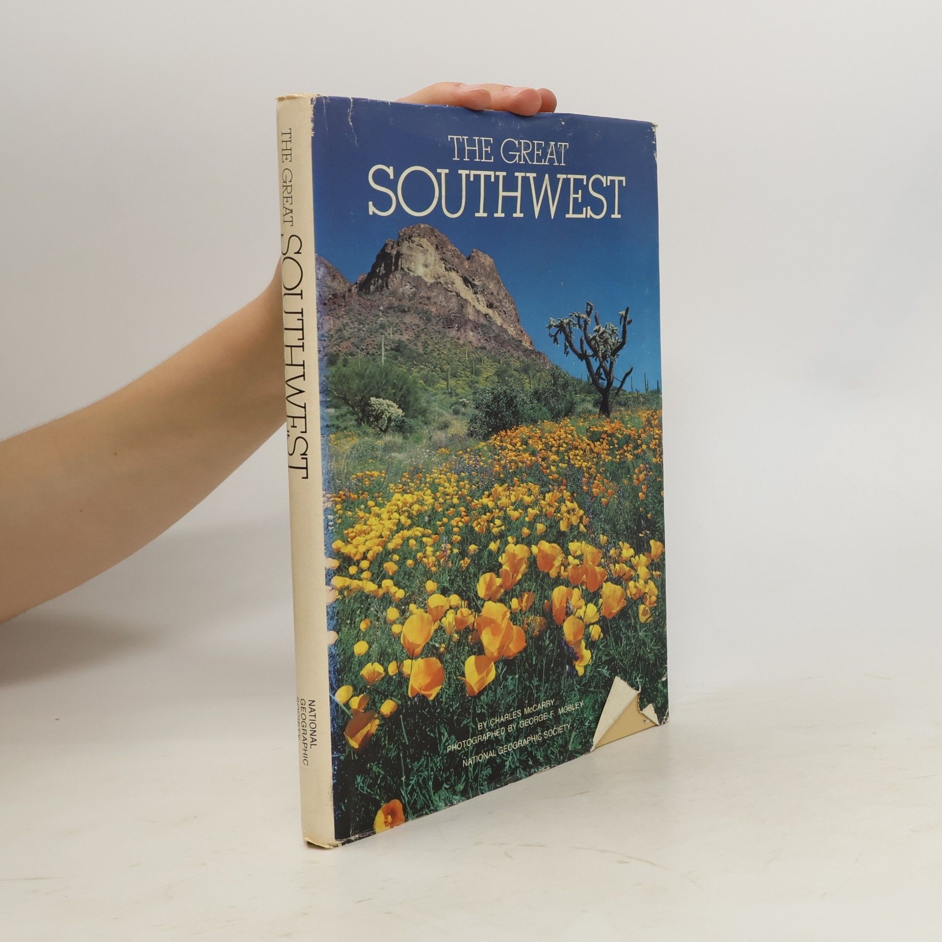 The Great Southwest