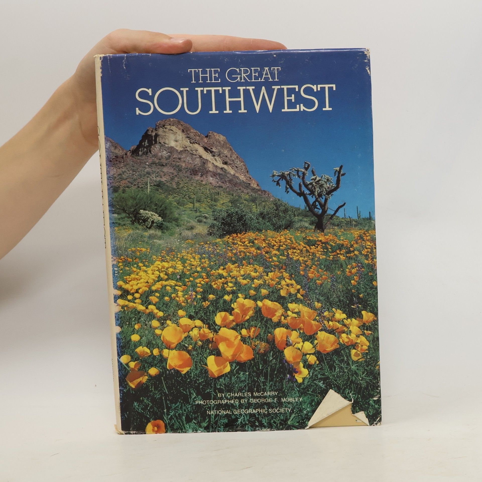 Charles McCarry The Great Southwest