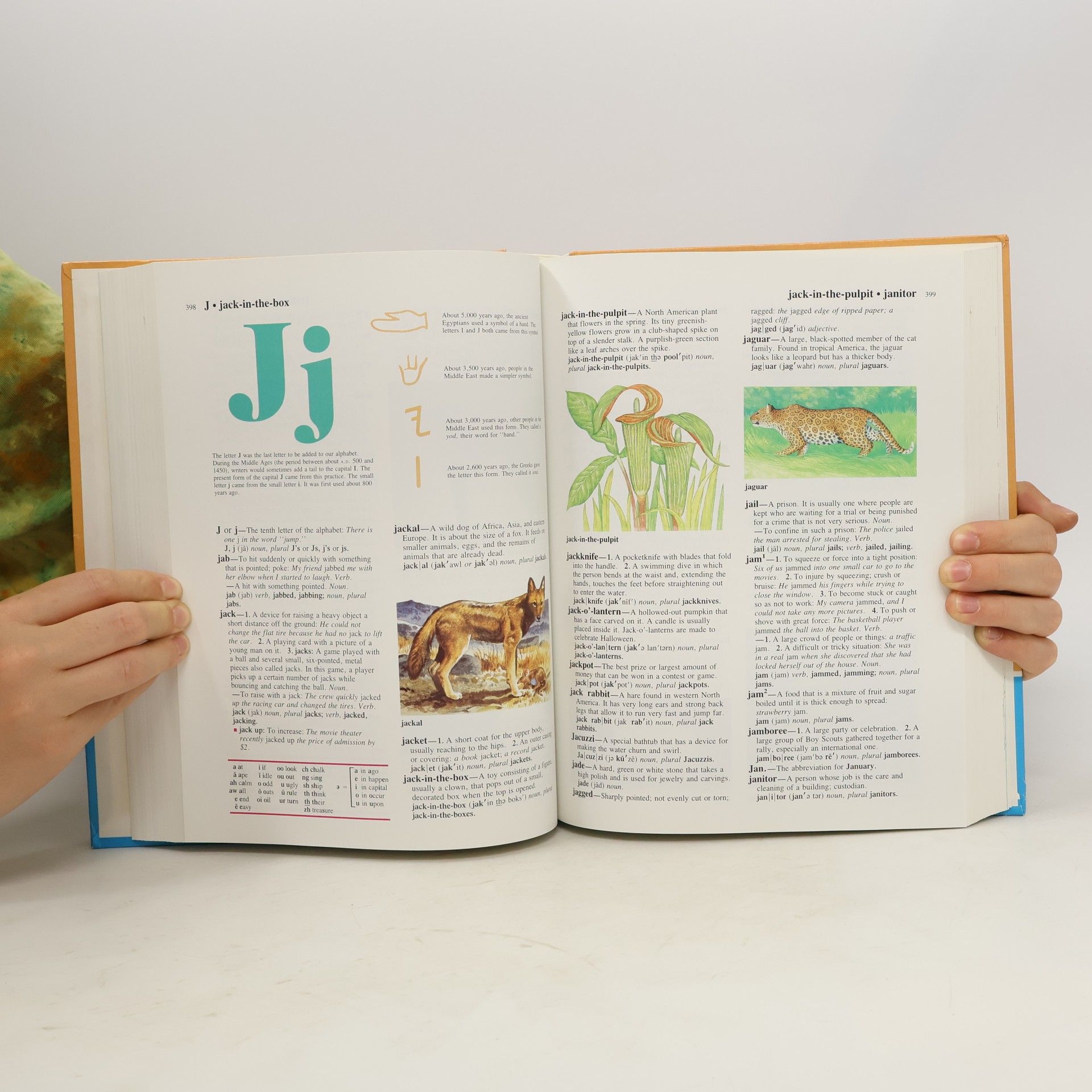 Kolektív autorov Childcraft Dictionary