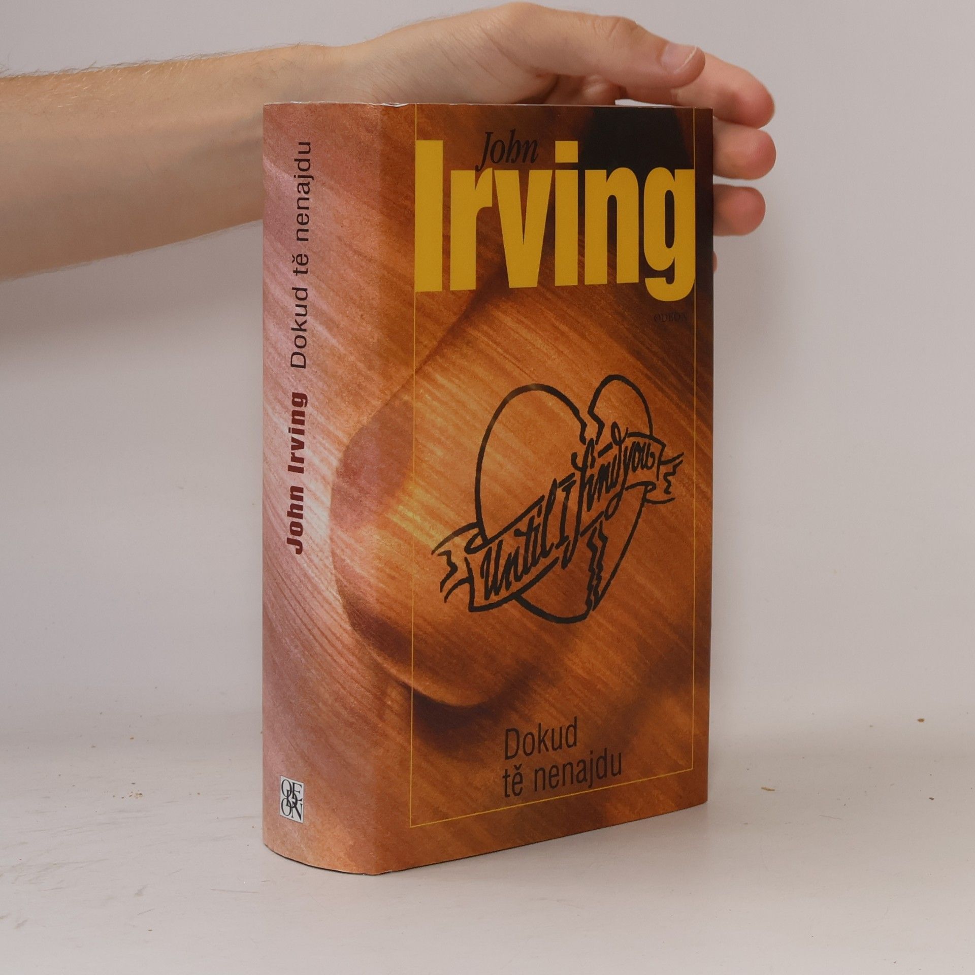 John Irving Dokud tě nenajdu