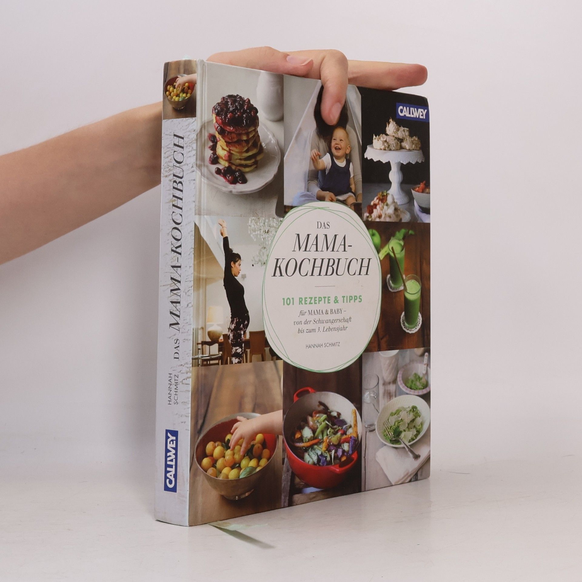 Hannah Schmitz Das Mama-Kombuch