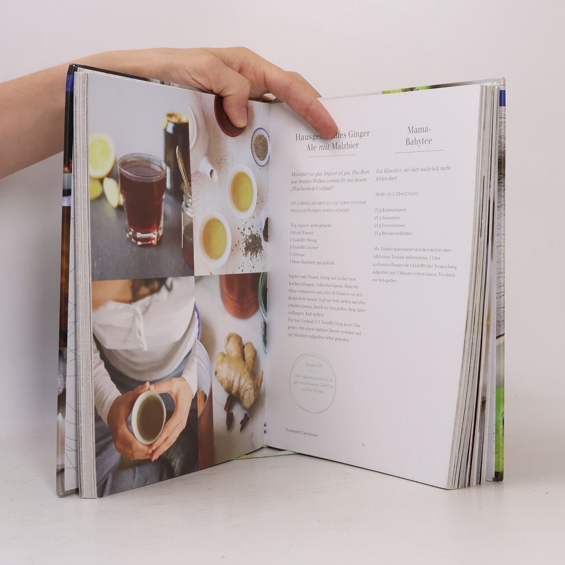 Hannah Schmitz Das Mama-Kombuch