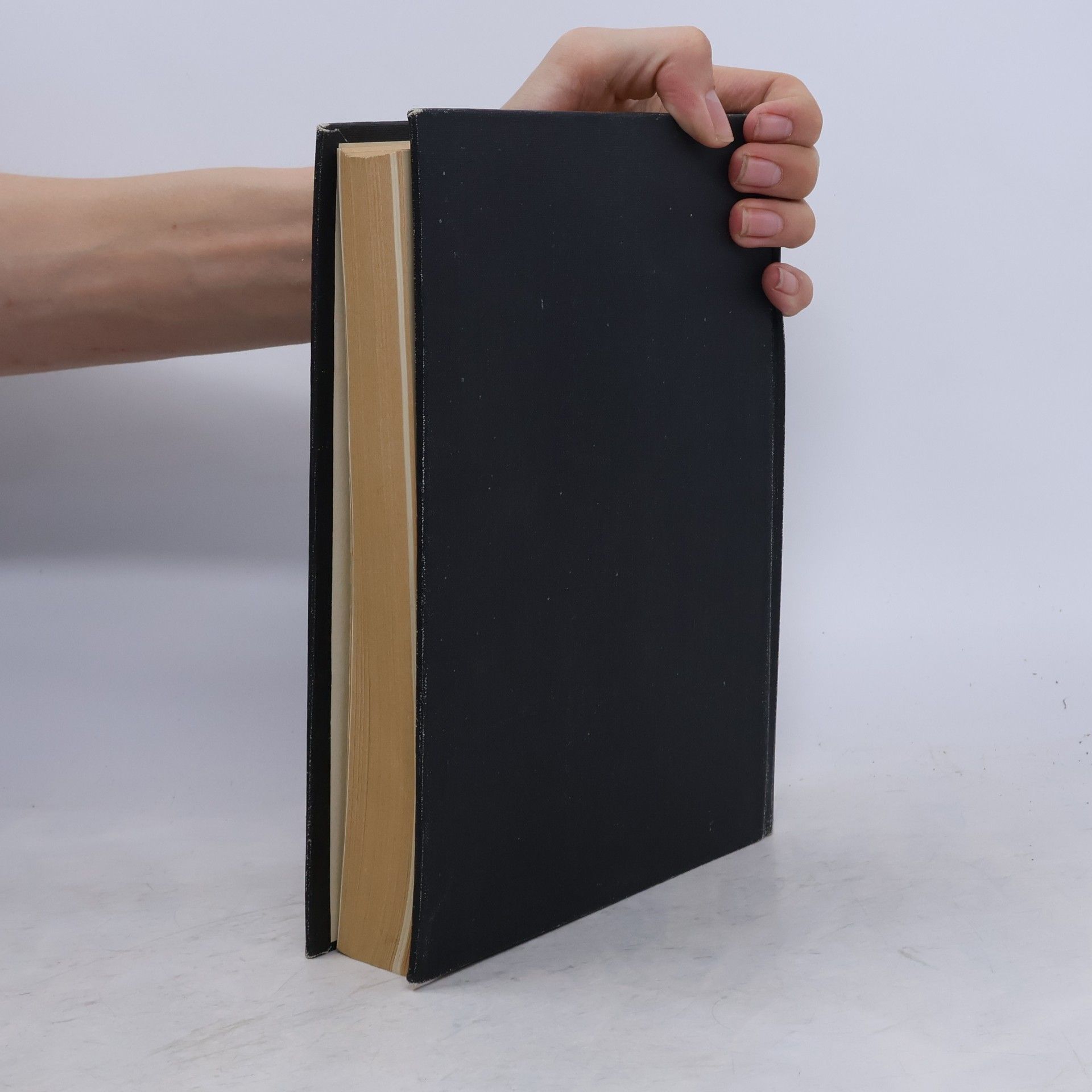 Kolektiv autorů Encyklopedie českého výtvarného umění