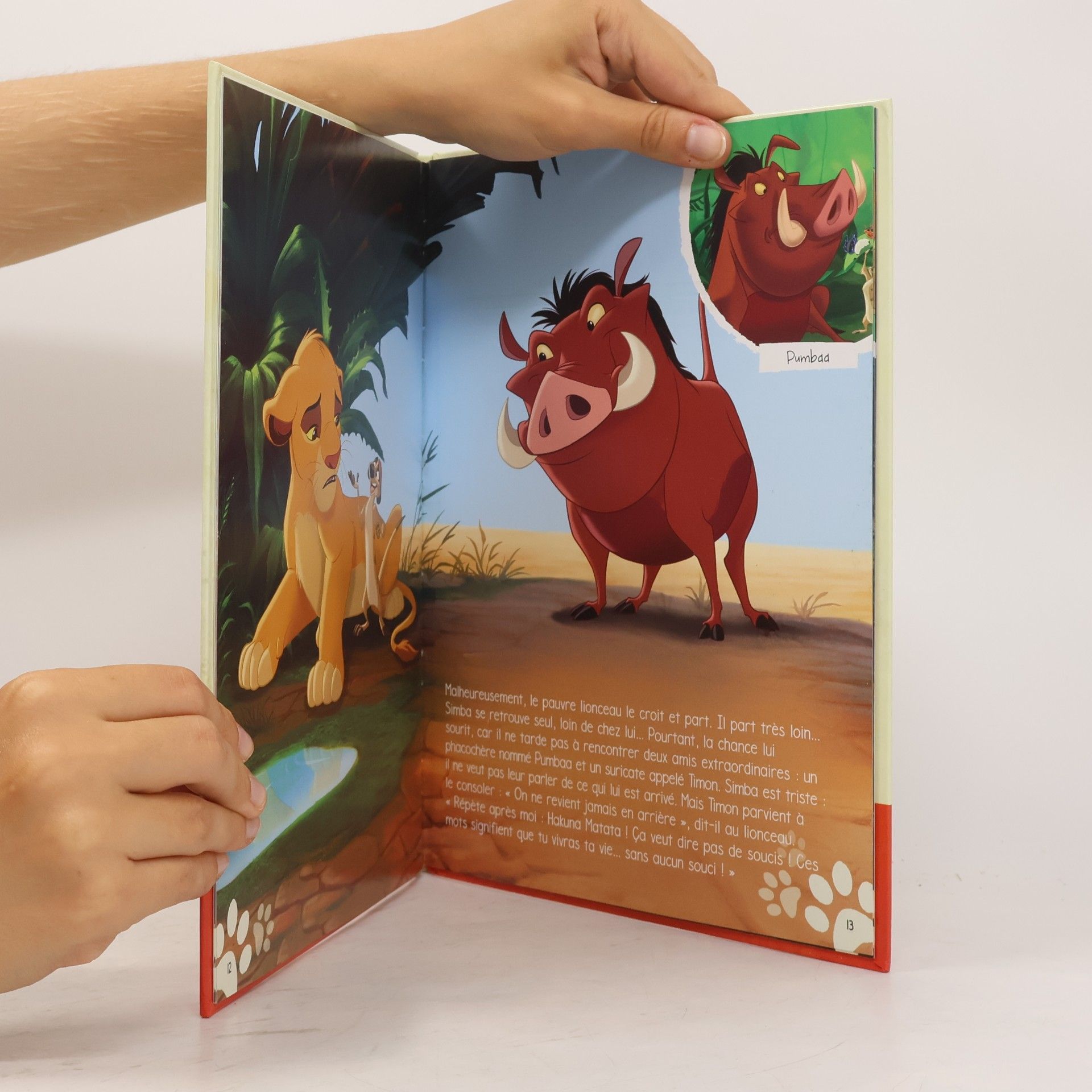 Disney Le Roi Lion 1