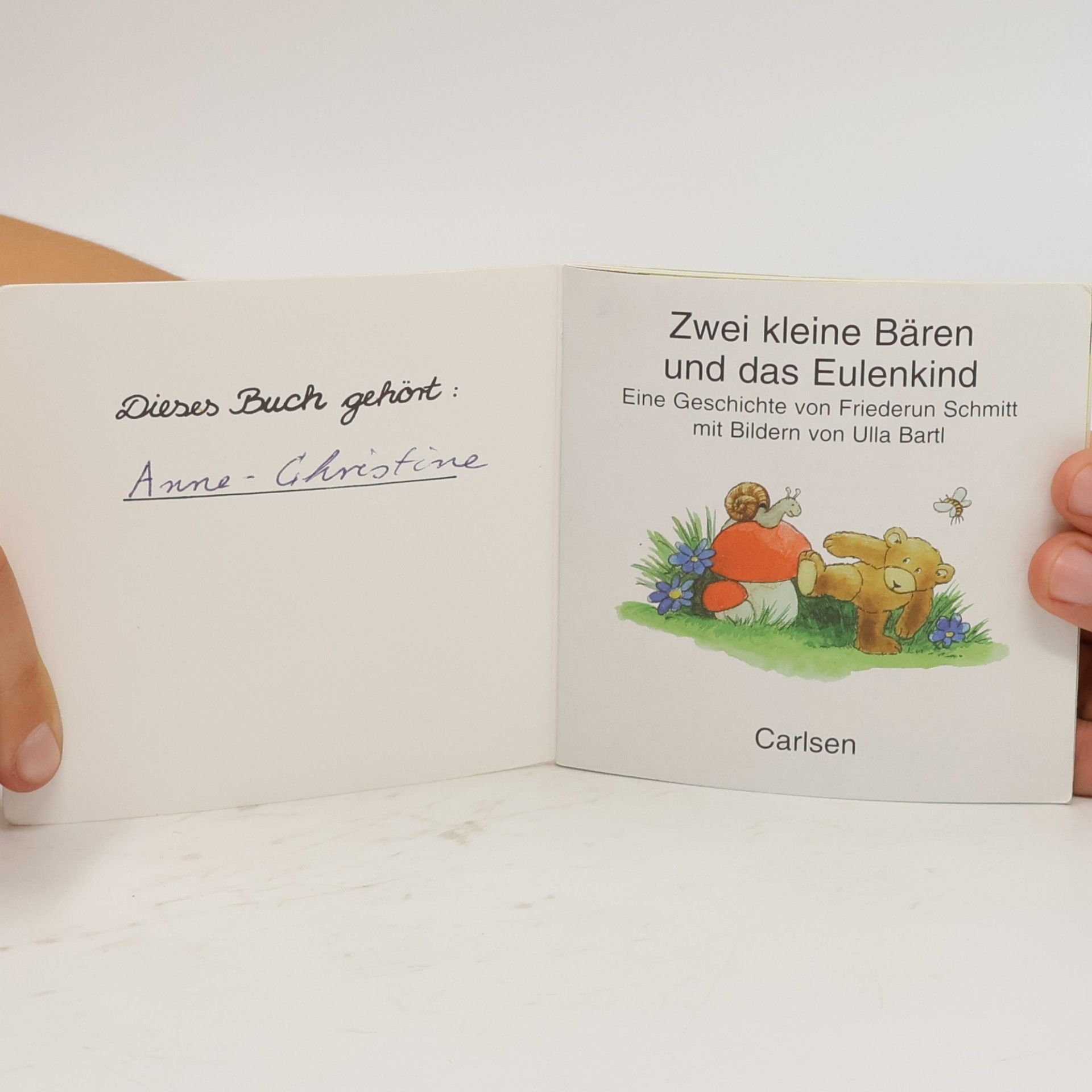 Autorenkollektiv Zwei kleine Bären und das Eulenkind