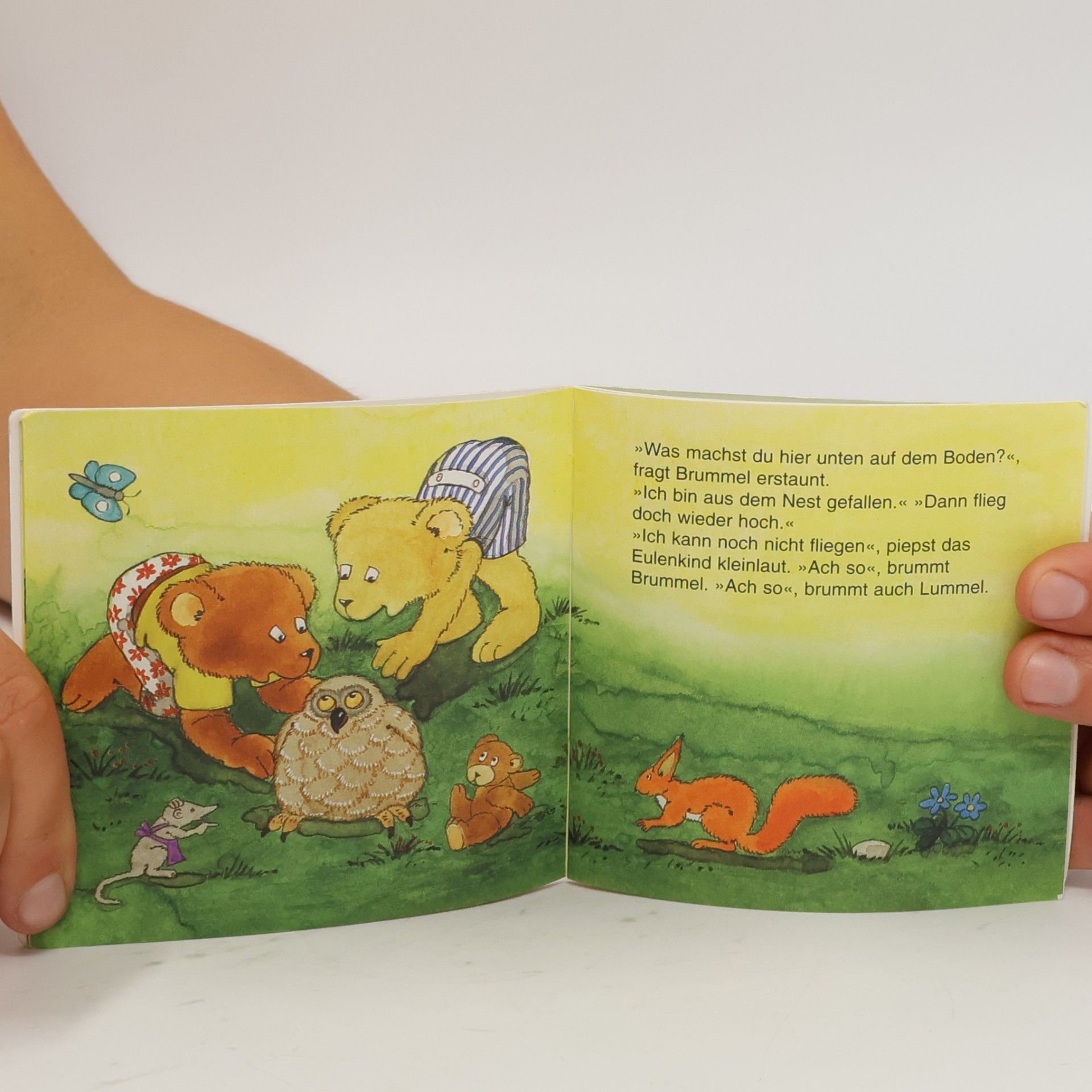 Autorenkollektiv Zwei kleine Bären und das Eulenkind