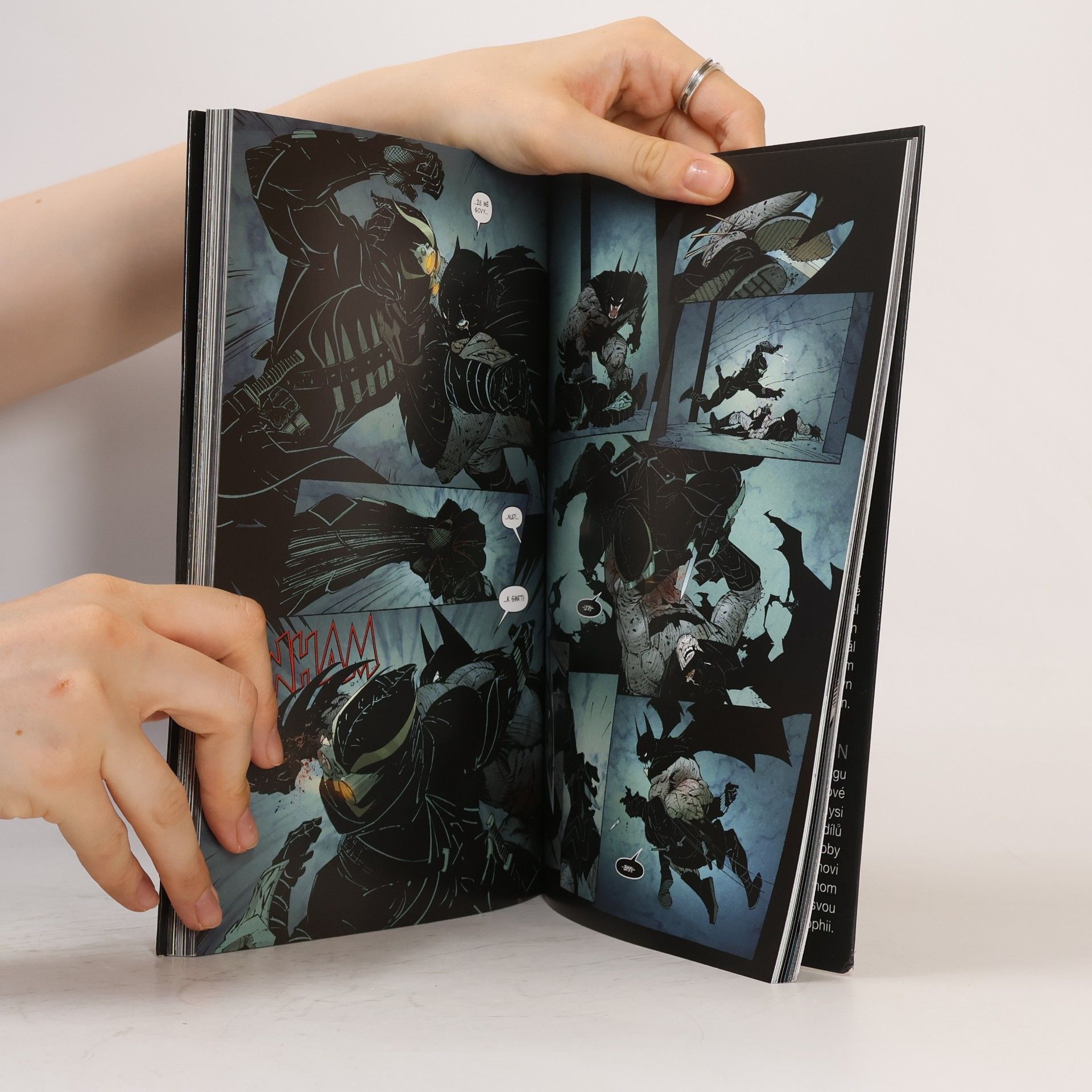 Scott Snyder Batman: Soví tribunál