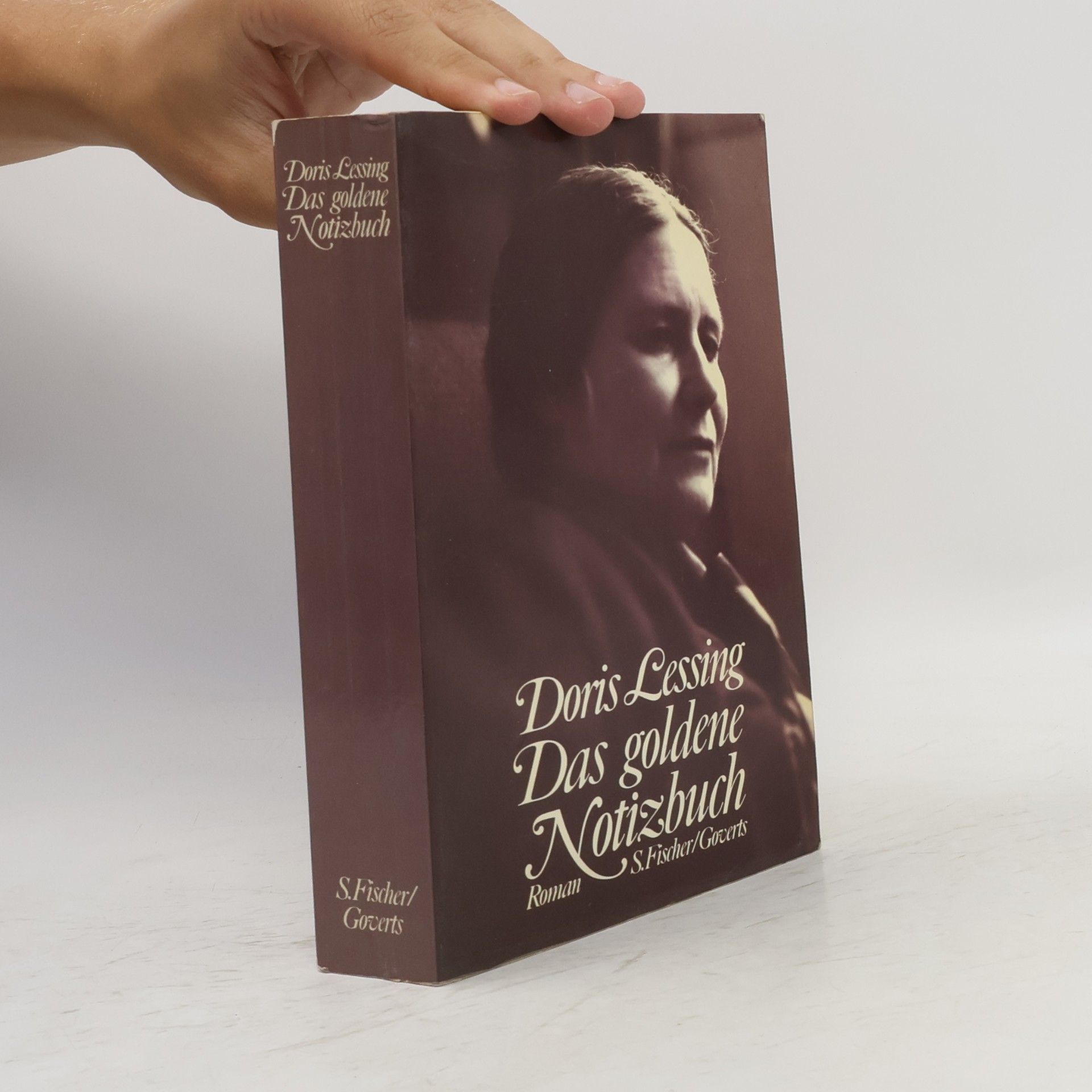 Doris Lessing Das goldene Notizbuch