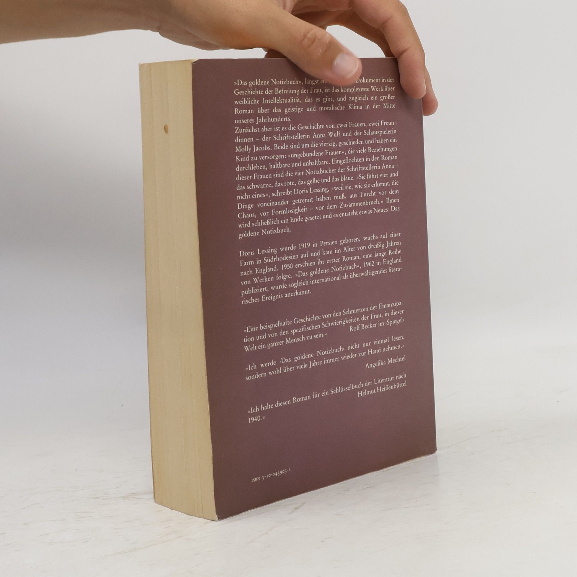 Doris Lessing Das goldene Notizbuch