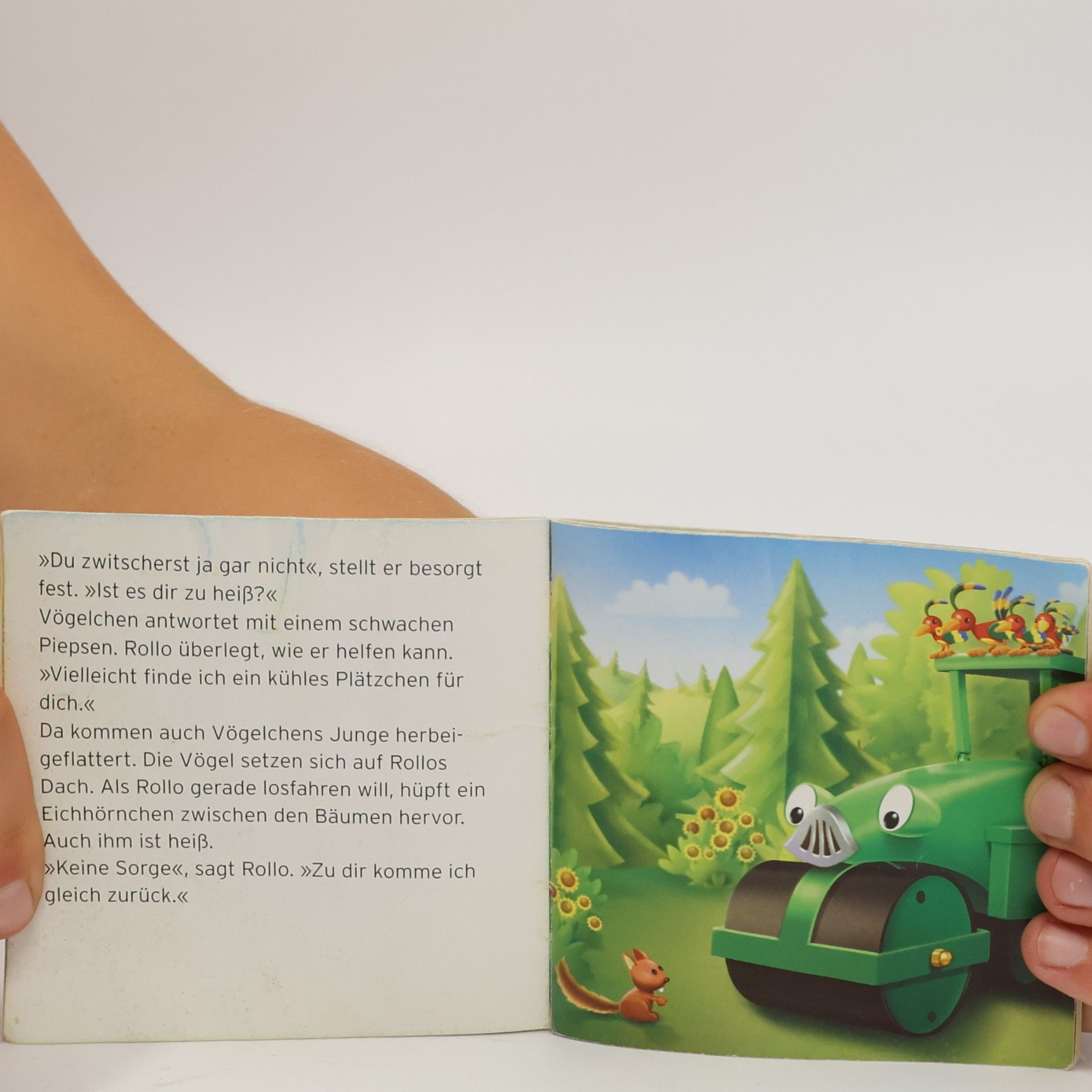 Inga Hübner Bob und die Waldtiere