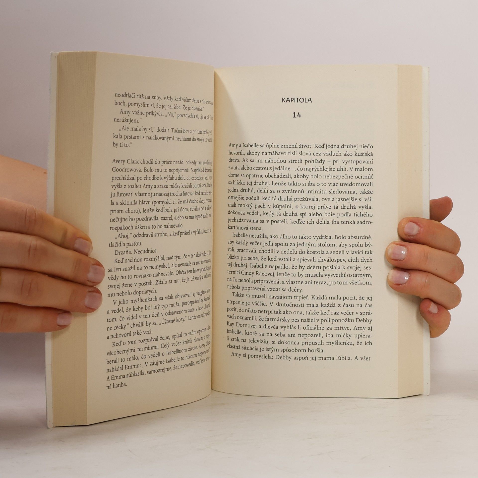 Elizabeth Strout Amy a Isabelle