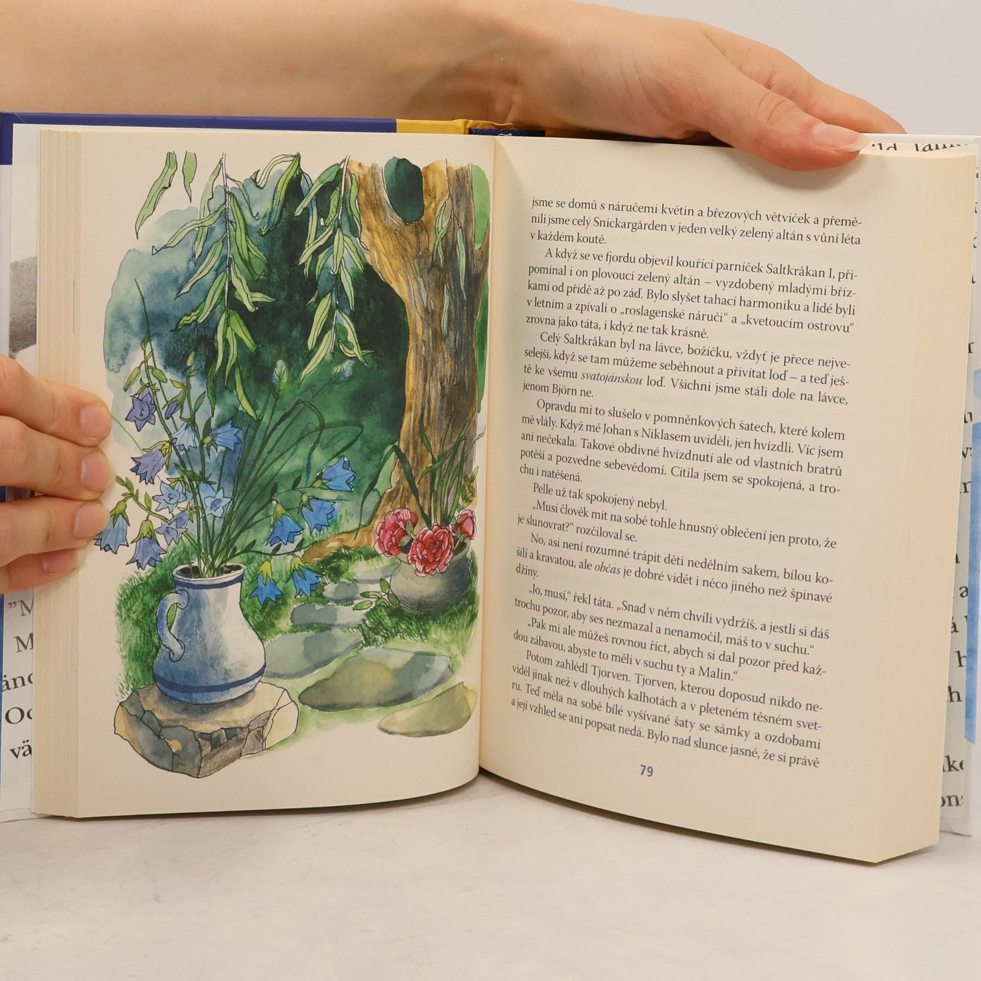 Astrid Lindgren My z ostrova Saltkråkan