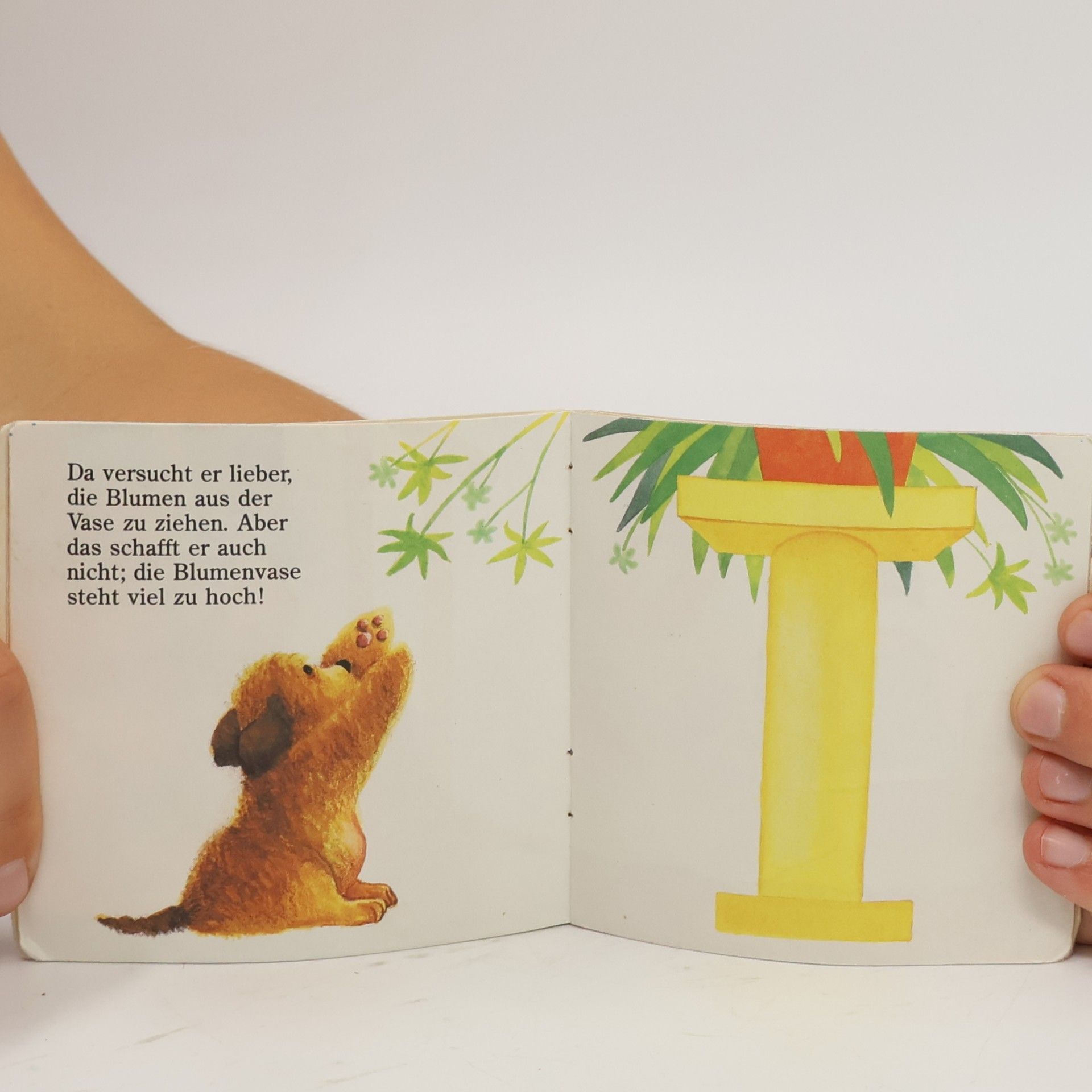 Pixi Bücher - 474: Pontos kleine Welt