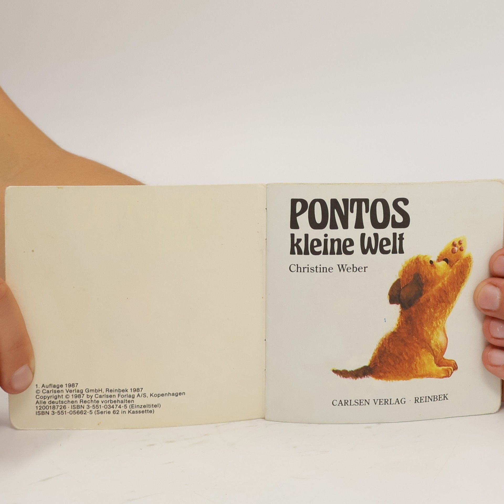 Pixi Bücher - 474: Pontos kleine Welt