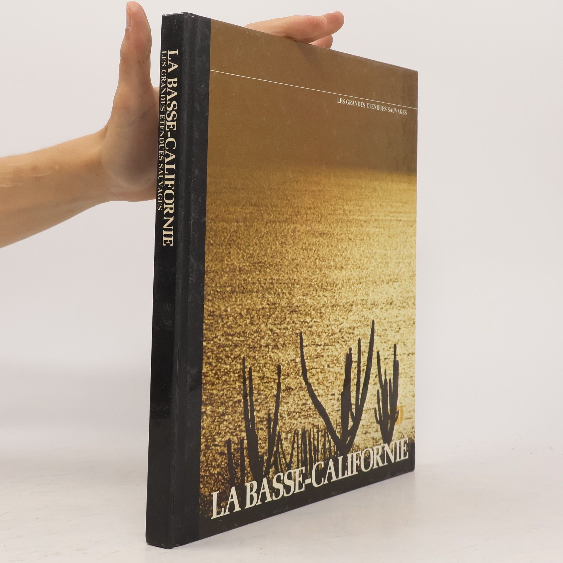 William Weber Johnson Les grandes étendues sauvages