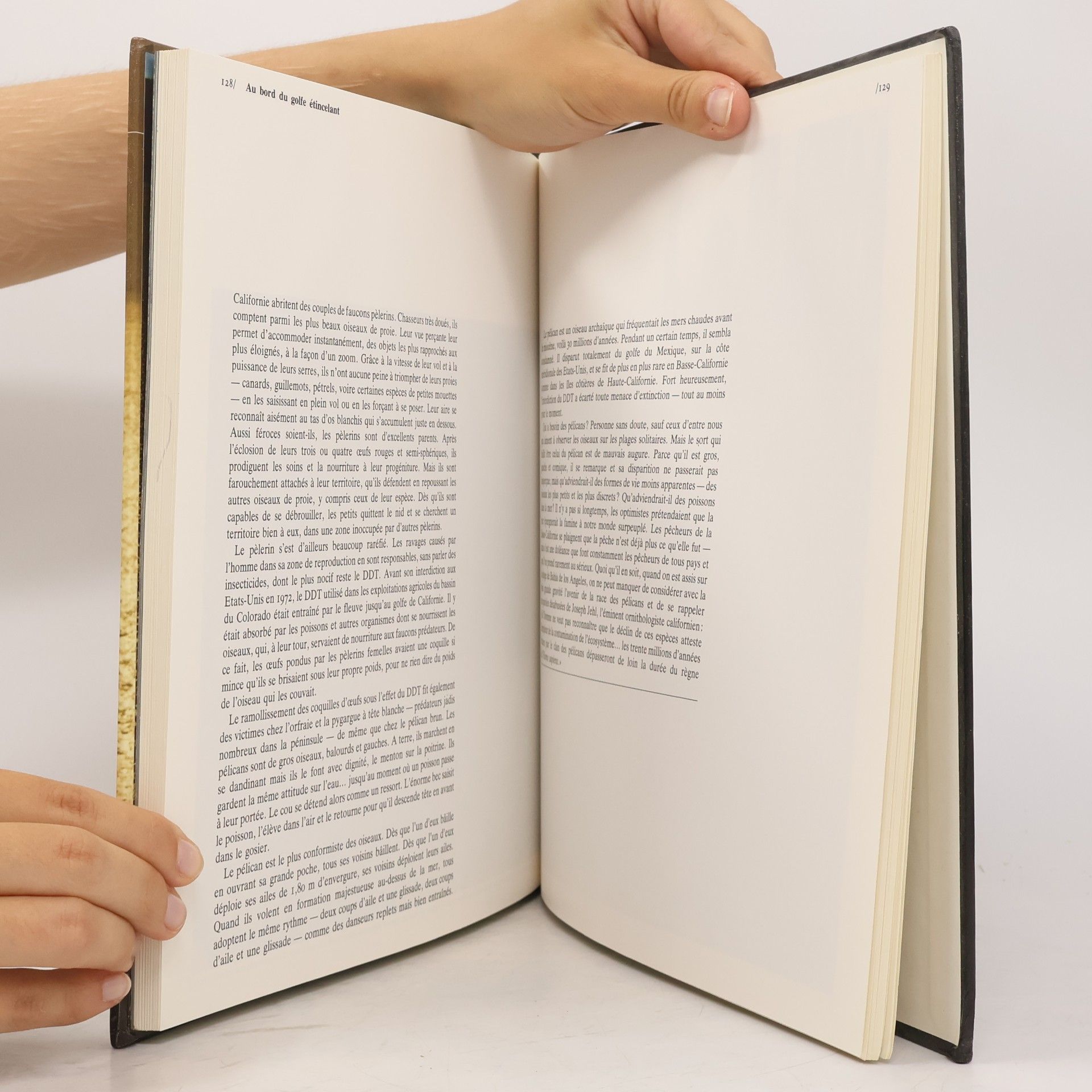 William Weber Johnson Les grandes étendues sauvages