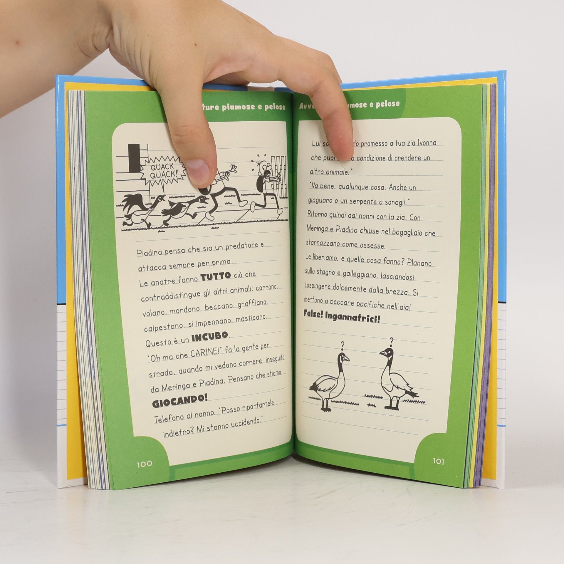 Jeff Kinney Diario di una schiappa 4