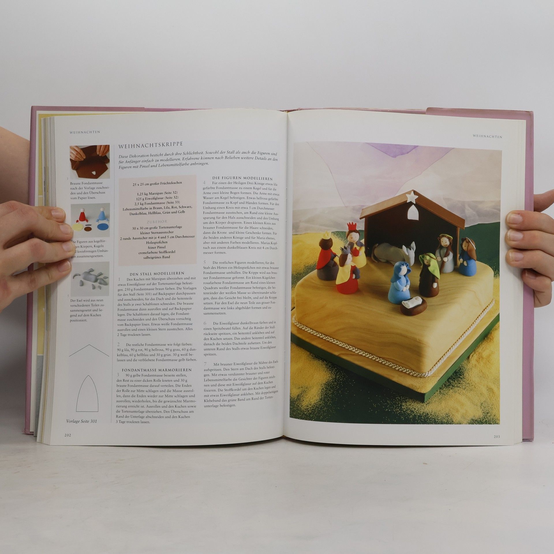 Mina Langheinrich Das grosse Buch der Torten-Dekorationen