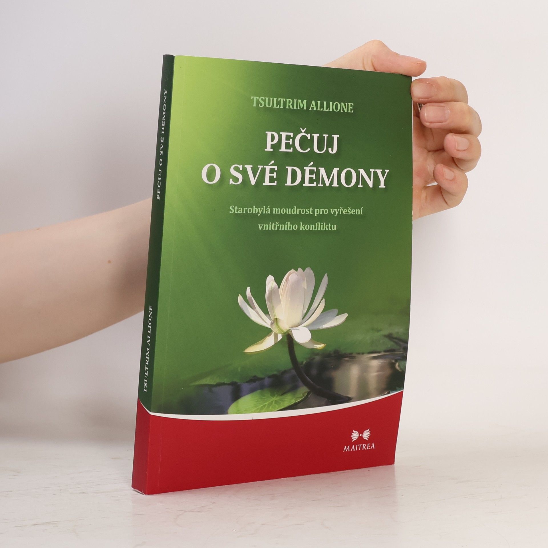 Tsultrim Allione Pečuj o své démony. Starobylá moudrost pro vyřešení vnitřního konfliktu