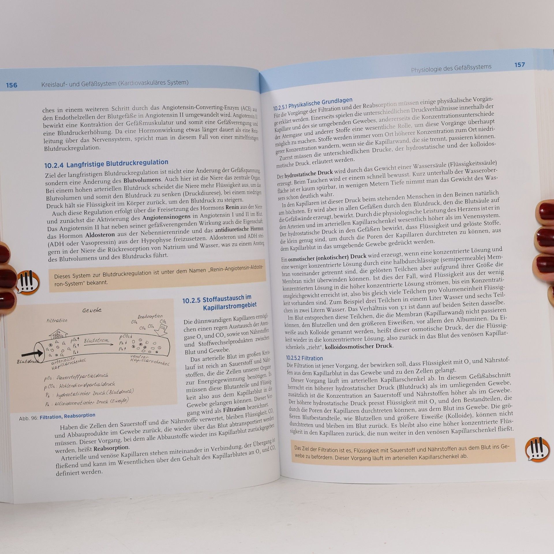 Isabel Haider-Strutz Anatomie - Biologie - Physiologie
