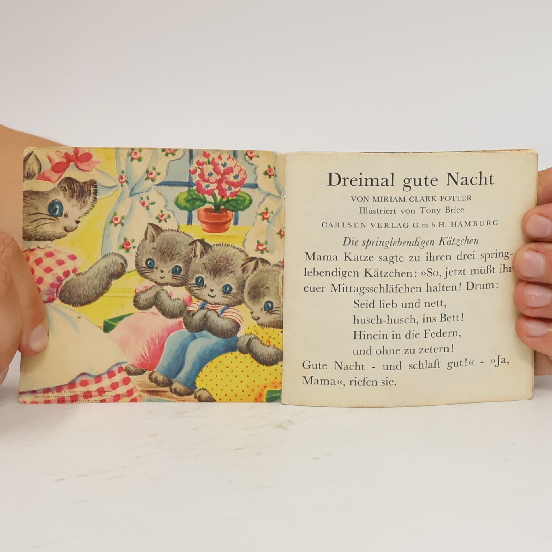 Autorenkollektiv Dreimal gute Nacht