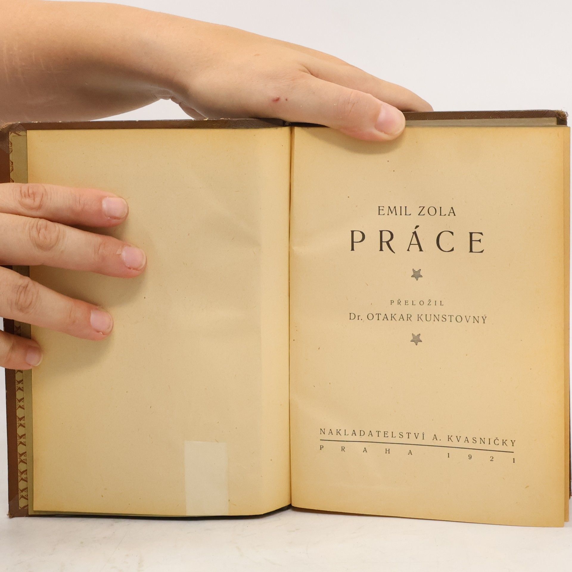 Émile Zola Práce